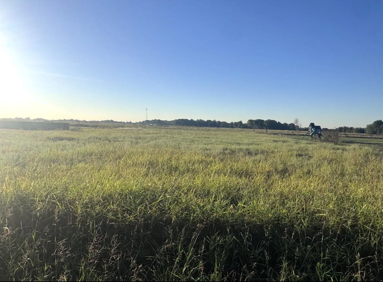 Unimproved Land For Sale in Ellis County , TBD Farrar Road, Palmer, Texas 75152, 0, 0, Garage spaces, 0 Sqft, built in 0, mls#21404765, Real Estate Agent in Palmer, Homes For Sale in Ellis county, Homes For Sale in Palmer, Realtor in Palmer Texas, Real Estate Brokerage Independent Realty Texas, Luminita Cordes Realtor