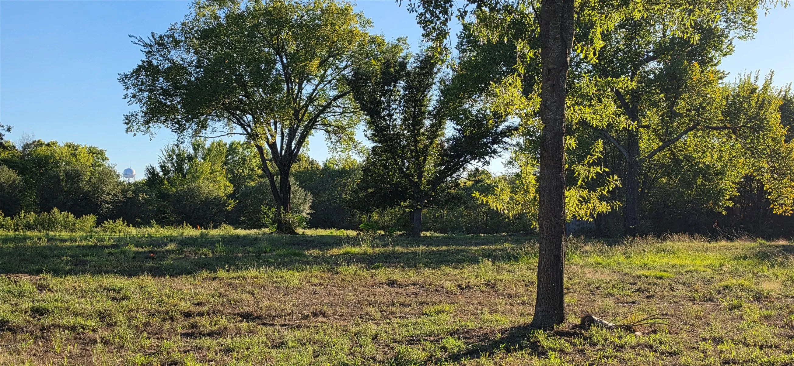 Unimproved Land For Sale in Van Zandt County , 0 N Waldrip Street, Grand Saline, Texas 75140, 0, 0, Garage spaces, 0 Sqft, built in 0, mls#21405168, Real Estate Agent in Grand Saline, Homes For Sale in Van Zandt county, Homes For Sale in Grand Saline, Realtor in Grand Saline Texas, Real Estate Brokerage Independent Realty Texas, Luminita Cordes Realtor