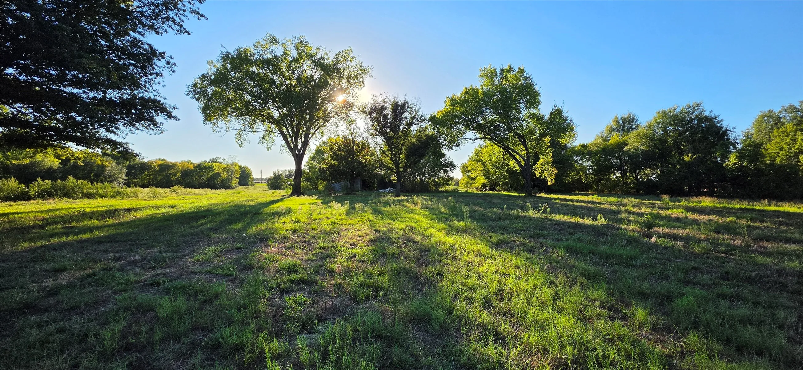 Unimproved Land For Sale in Van Zandt County , 0 N Waldrip Street, Grand Saline, Texas 75140, 0, 0, Garage spaces, 0 Sqft, built in 0, mls#21405168, Real Estate Agent in Grand Saline, Homes For Sale in Van Zandt county, Homes For Sale in Grand Saline, Realtor in Grand Saline Texas, Real Estate Brokerage Independent Realty Texas, Luminita Cordes Realtor