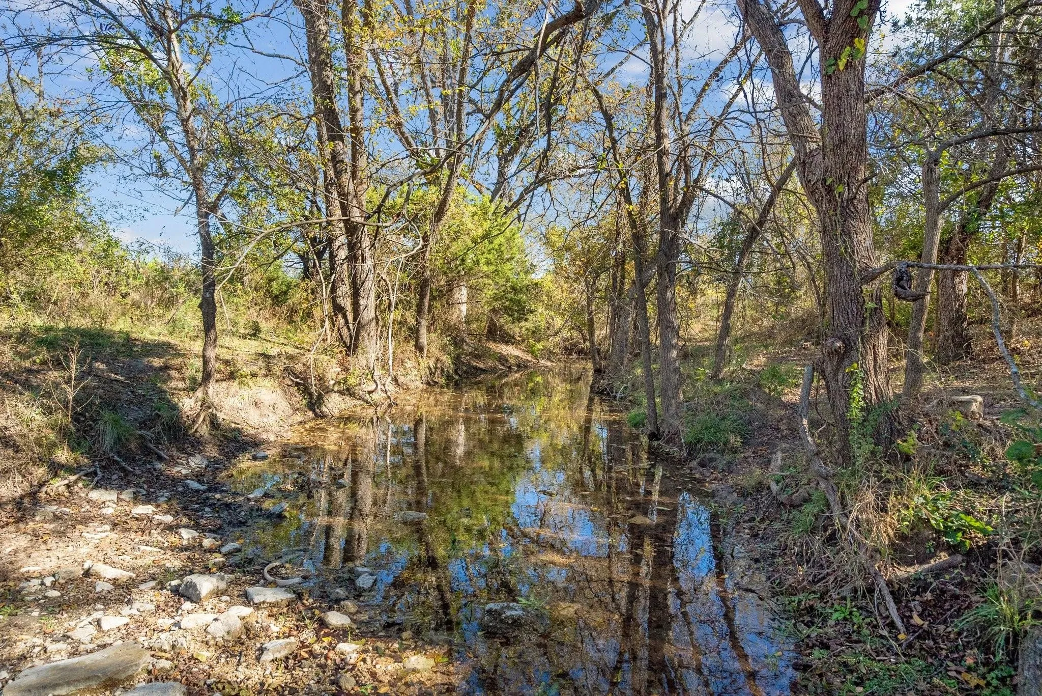 Ranch For Sale in Erath County , 10723 County Road 539 Road, Hico, Texas 76457, 0, 0, Garage spaces, 0 Sqft, built in 1905, mls#21404849, Real Estate Agent in Hico, Homes For Sale in Erath county, Homes For Sale in Hico, Realtor in Hico Texas, Real Estate Brokerage Independent Realty Texas, Luminita Cordes Realtor