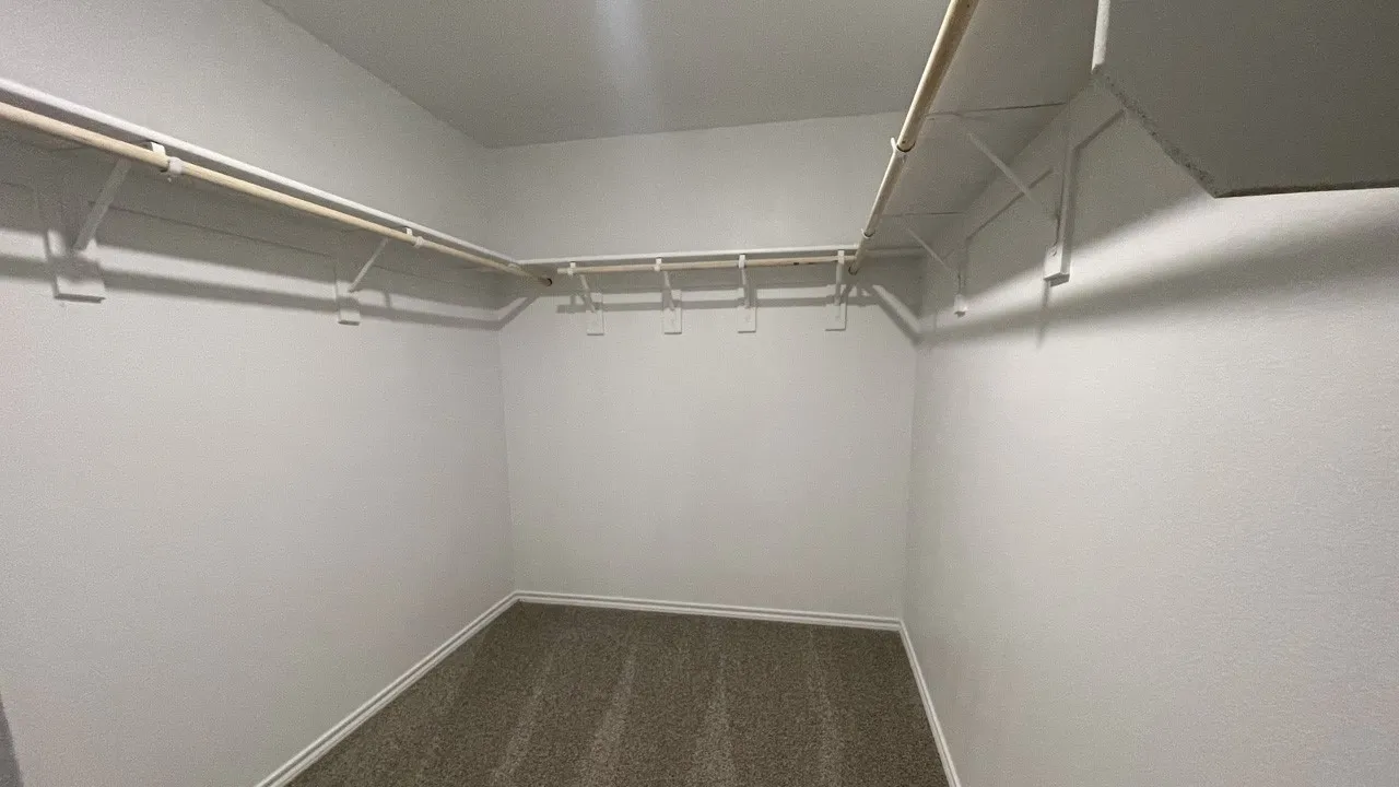 Walk-in closet with built-in shelving, hanging rods, and carpet flooring
