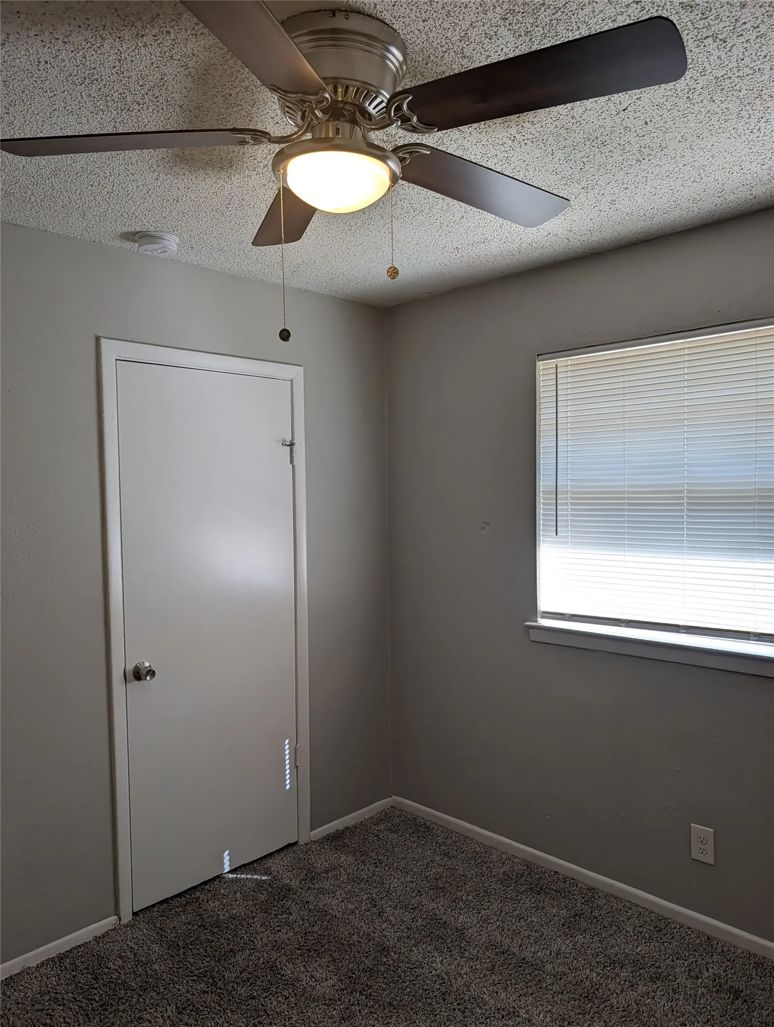 Single Family Residence For Rent in Tarrant County , 5124 Sears Drive, Fort Worth, Texas 76105, 3 Bedroom, 2 Bathroom, 2 Garage spaces, 1,030 Sqft, built in 1971, mls#21405186, Real Estate Agent in Fort Worth, Homes For Rent in Tarrant county, Homes For Rent in Fort Worth, Realtor in Fort Worth Texas, Real Estate Brokerage Independent Realty Texas, Luminita Cordes Realtor