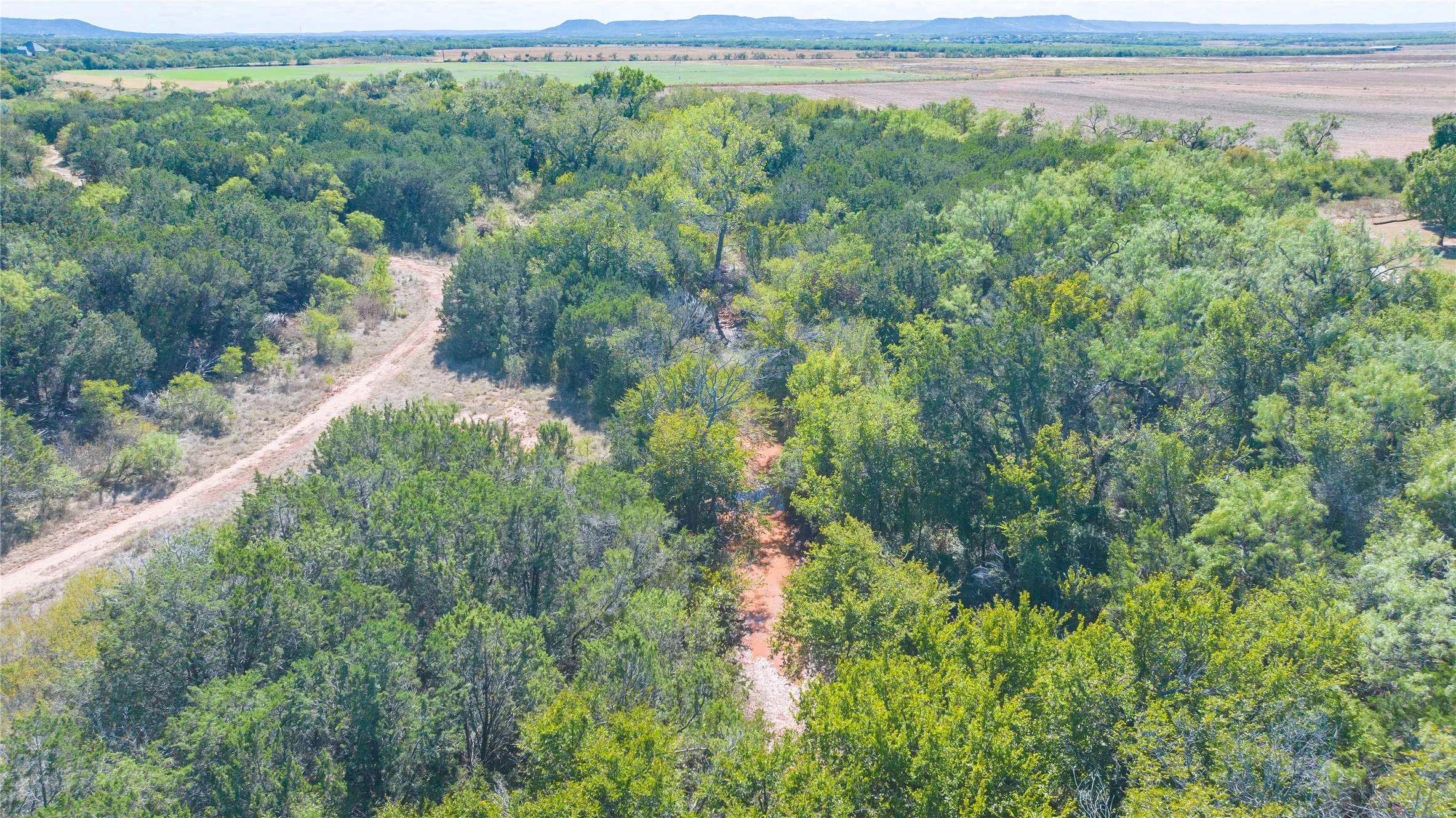 Single Family Residence For Sale in Taylor County , 117 County Road 661, Abilene, Texas 79606, 3 Bedroom, 3 Bathroom, Garage spaces, 2,630 Sqft, built in 1972, mls#21404218, Real Estate Agent in Abilene, Homes For Sale in Taylor county, Homes For Sale in Abilene, Realtor in Abilene Texas, Real Estate Brokerage Independent Realty Texas, Luminita Cordes Realtor