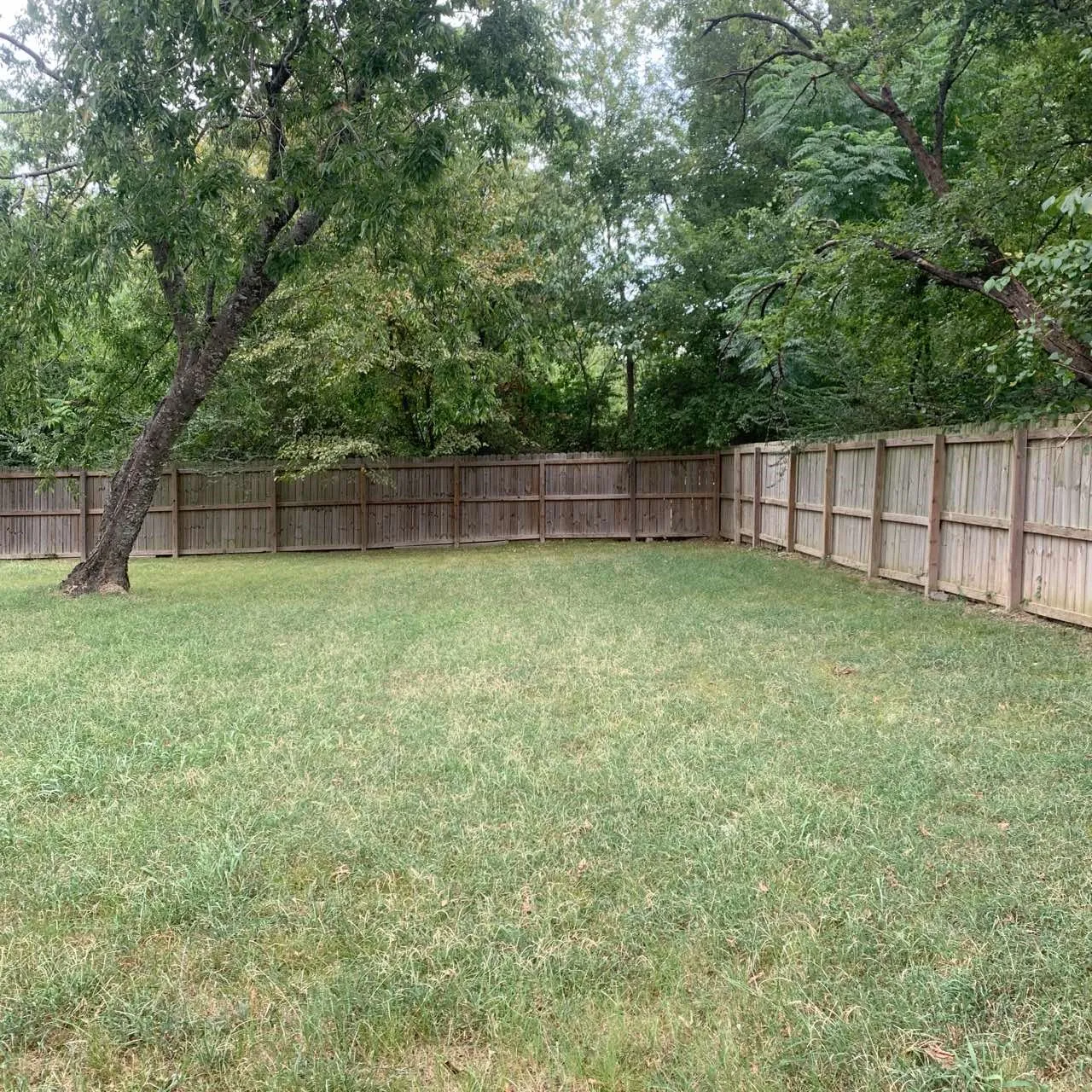 Single Family Residence For Rent in Fannin County , 214 Braz, Bonham, Texas 75418, 3 Bedroom, 2 Bathroom, Garage spaces, 1,496 Sqft, built in 2019, mls#21405251, Real Estate Agent in Bonham, Homes For Rent in Fannin county, Homes For Rent in Bonham, Realtor in Bonham Texas, Real Estate Brokerage Independent Realty Texas, Luminita Cordes Realtor