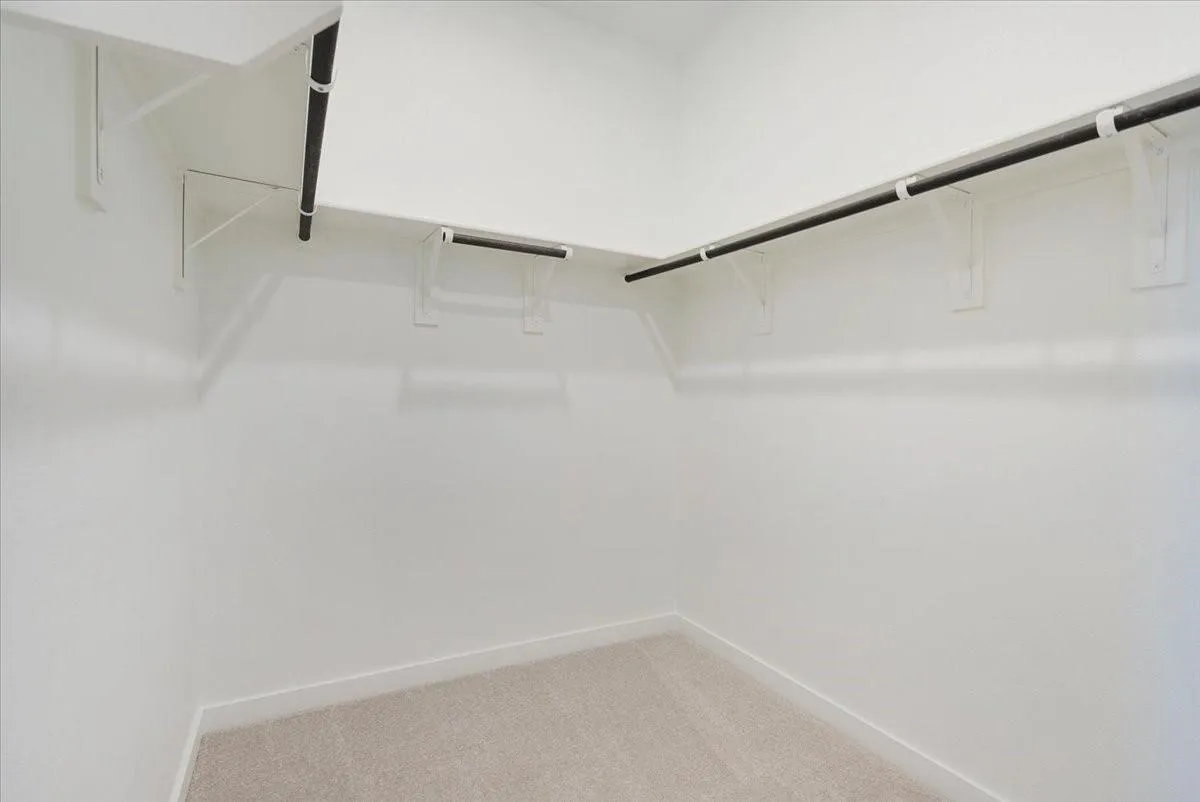 Walk-in closet with carpet flooring, white walls, and built-in shelving with hanging rods