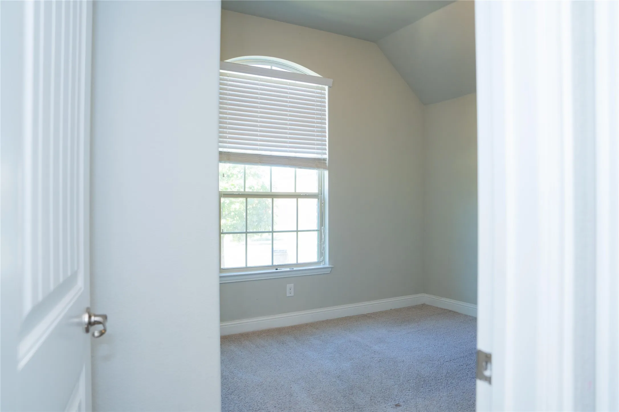 Arched transom window with blinds, light gray wall paint, and plush carpet flooring