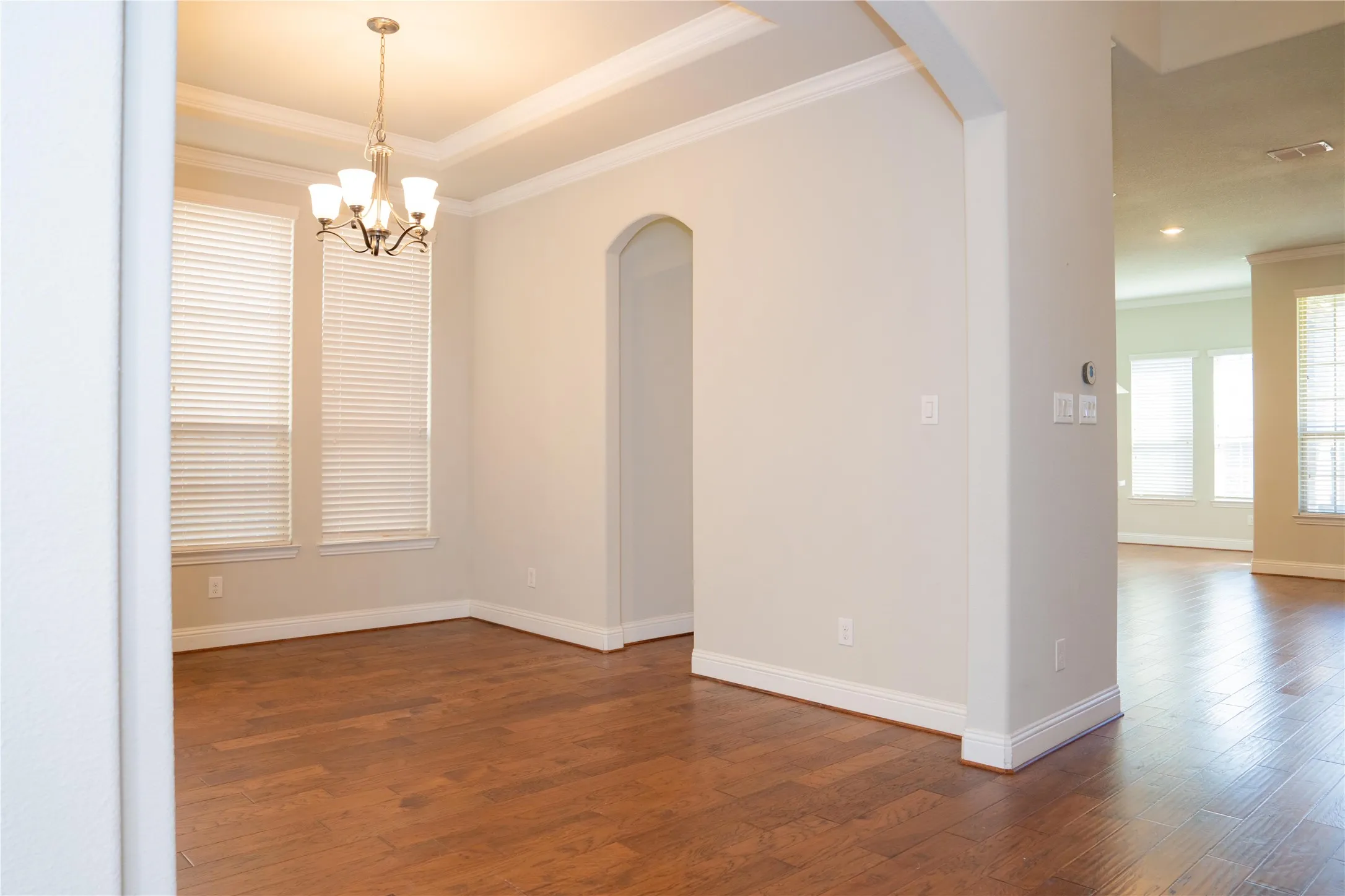 Wood-finish flooring, tray ceiling with chandelier, arched doorway, and vertical blinds