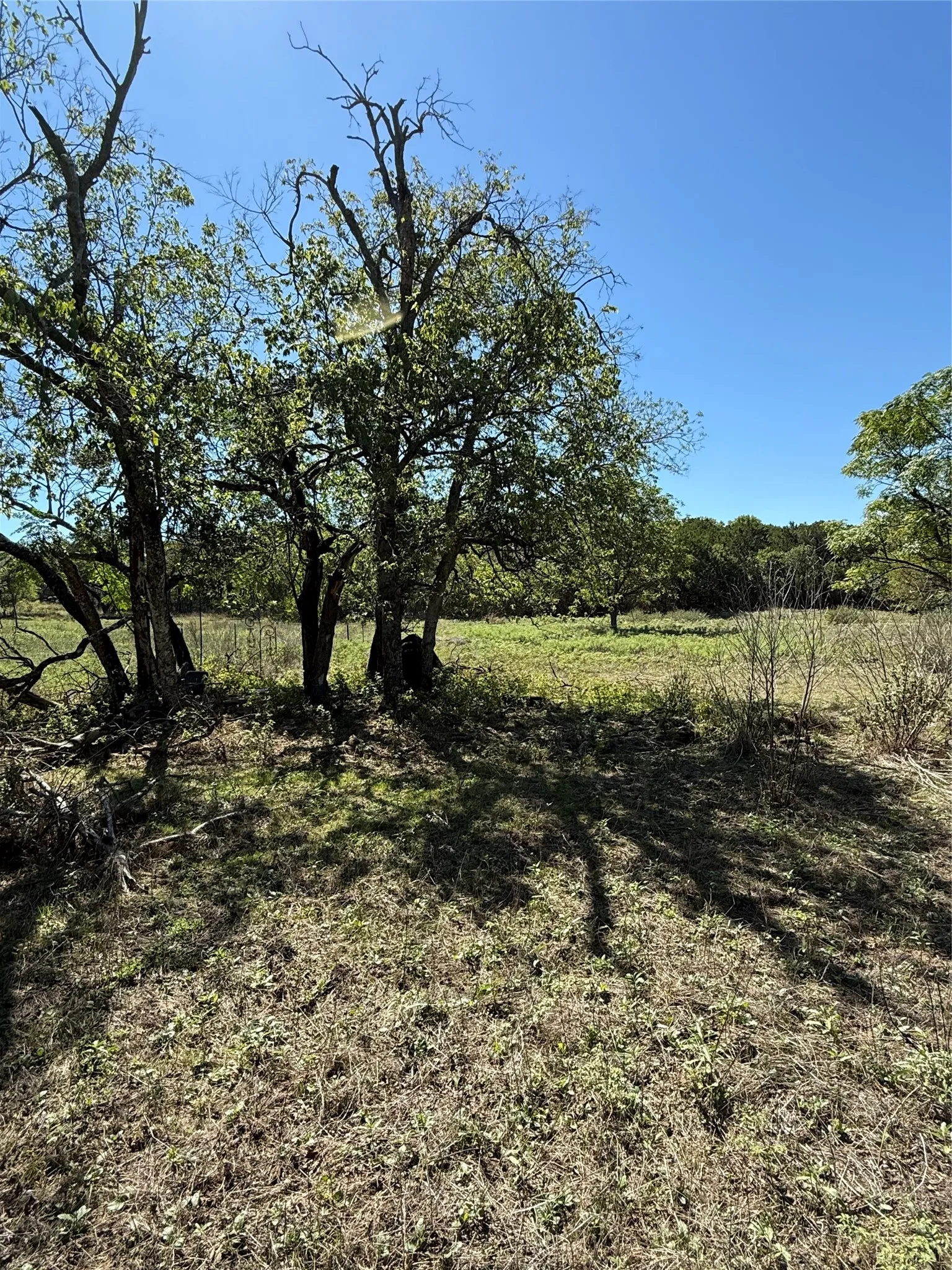 Improved Land For Sale in Bosque County , TBD Avenue G, Valley Mills, Texas 76689, 0, 0, Garage spaces, 0 Sqft, built in 0, mls#21405369, Real Estate Agent in Valley Mills, Homes For Sale in Bosque county, Homes For Sale in Valley Mills, Realtor in Valley Mills Texas, Real Estate Brokerage Independent Realty Texas, Luminita Cordes Realtor