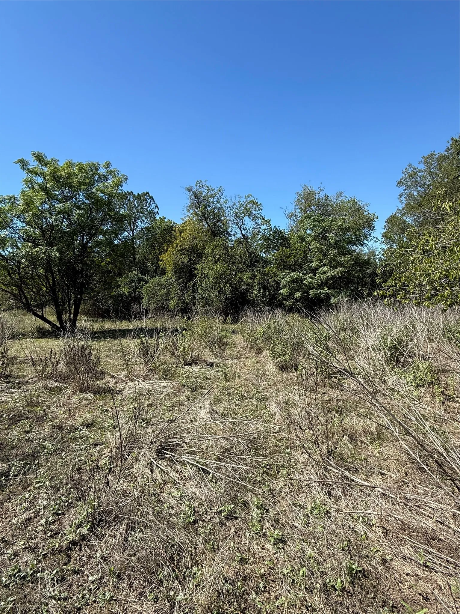 Improved Land For Sale in Bosque County , TBD Avenue G, Valley Mills, Texas 76689, 0, 0, Garage spaces, 0 Sqft, built in 0, mls#21405369, Real Estate Agent in Valley Mills, Homes For Sale in Bosque county, Homes For Sale in Valley Mills, Realtor in Valley Mills Texas, Real Estate Brokerage Independent Realty Texas, Luminita Cordes Realtor