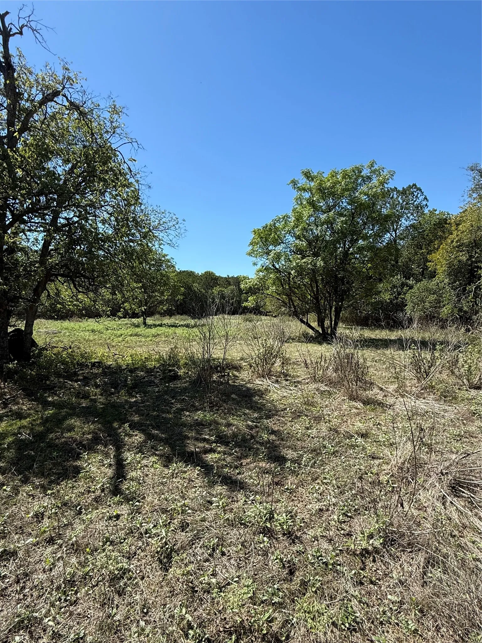 Improved Land For Sale in Bosque County , TBD Avenue G, Valley Mills, Texas 76689, 0, 0, Garage spaces, 0 Sqft, built in 0, mls#21405369, Real Estate Agent in Valley Mills, Homes For Sale in Bosque county, Homes For Sale in Valley Mills, Realtor in Valley Mills Texas, Real Estate Brokerage Independent Realty Texas, Luminita Cordes Realtor