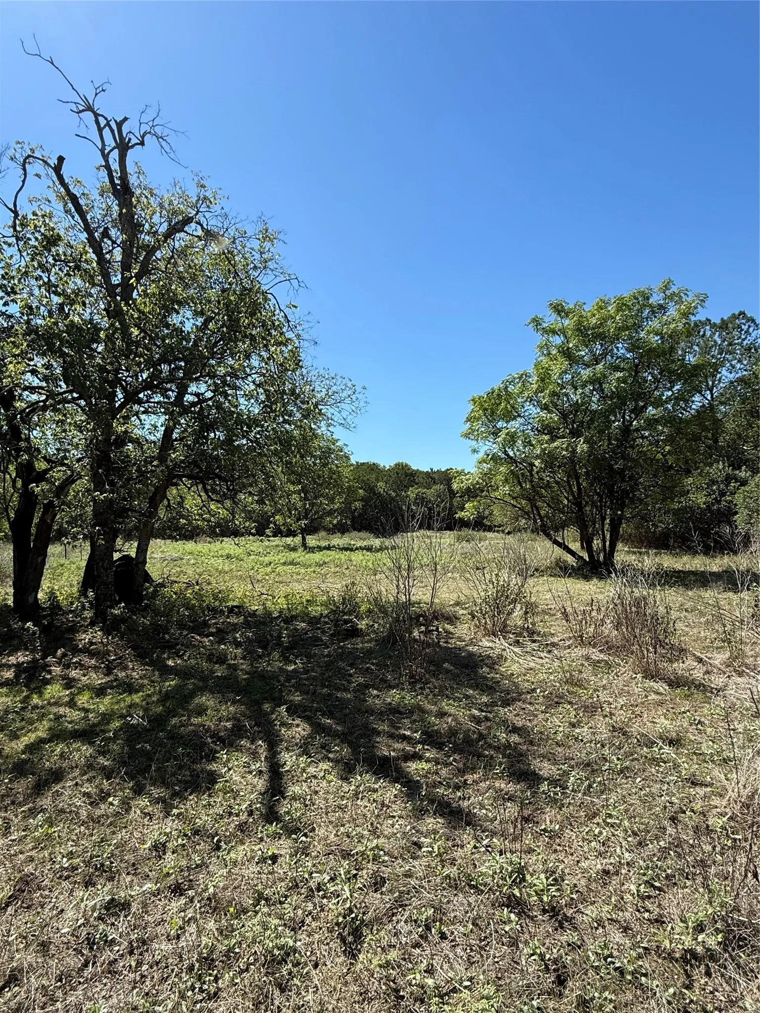 Improved Land For Sale in Bosque County , TBD Avenue G, Valley Mills, Texas 76689, 0, 0, Garage spaces, 0 Sqft, built in 0, mls#21405369, Real Estate Agent in Valley Mills, Homes For Sale in Bosque county, Homes For Sale in Valley Mills, Realtor in Valley Mills Texas, Real Estate Brokerage Independent Realty Texas, Luminita Cordes Realtor