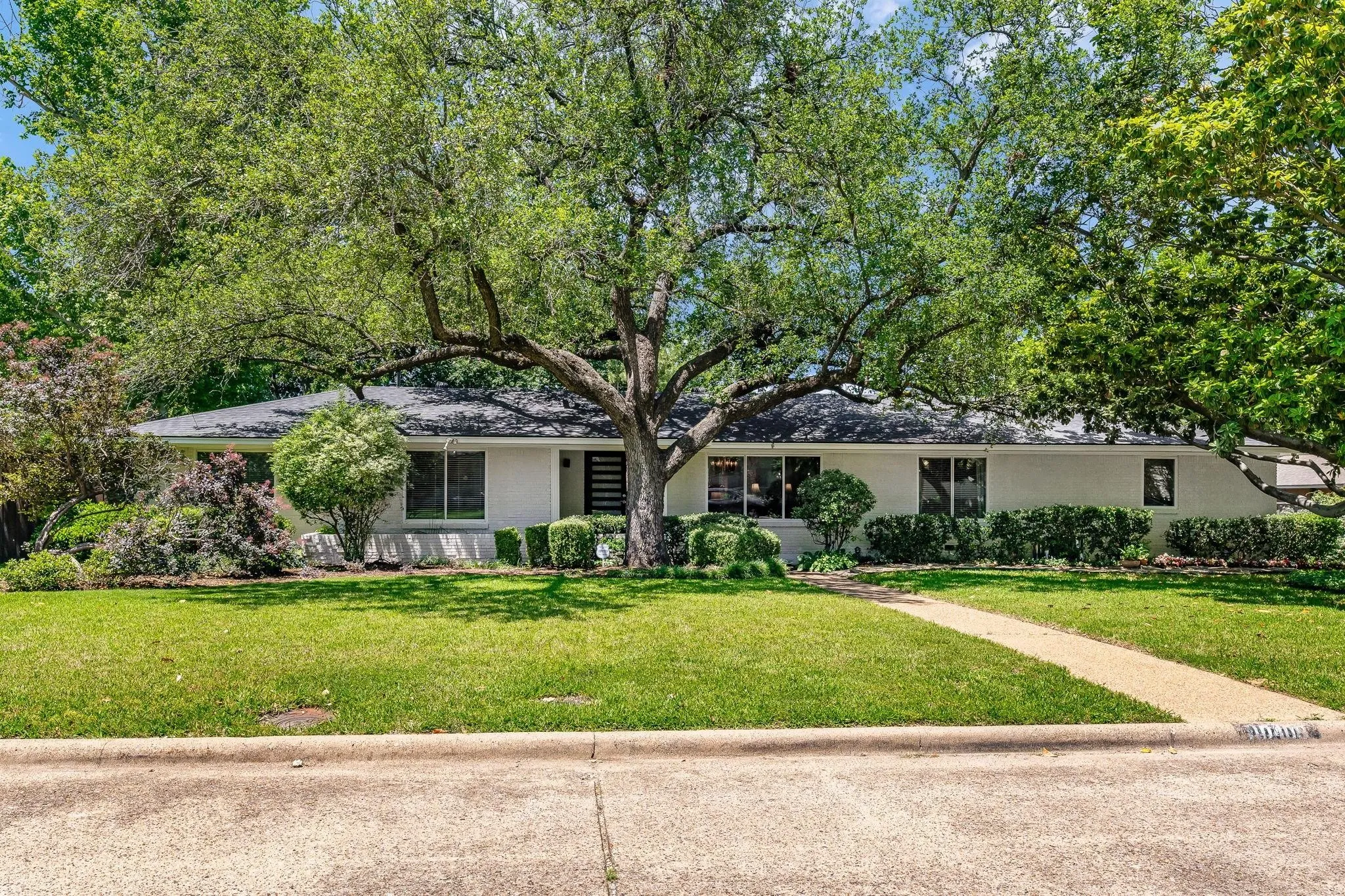 Single-story exterior with a mature shade tree, a front walkway, and dark-framed windows
