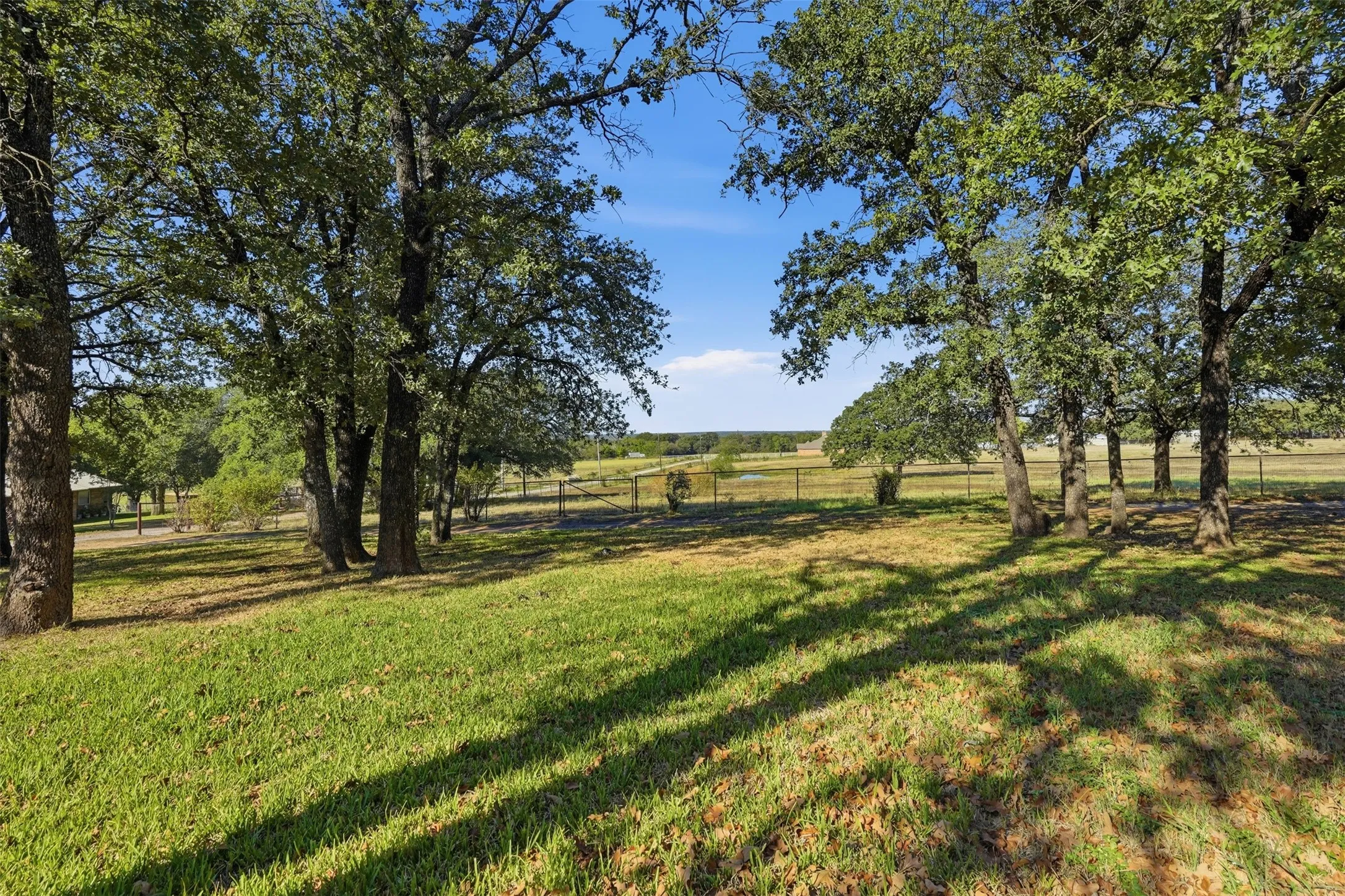 View of adjoining pasture.