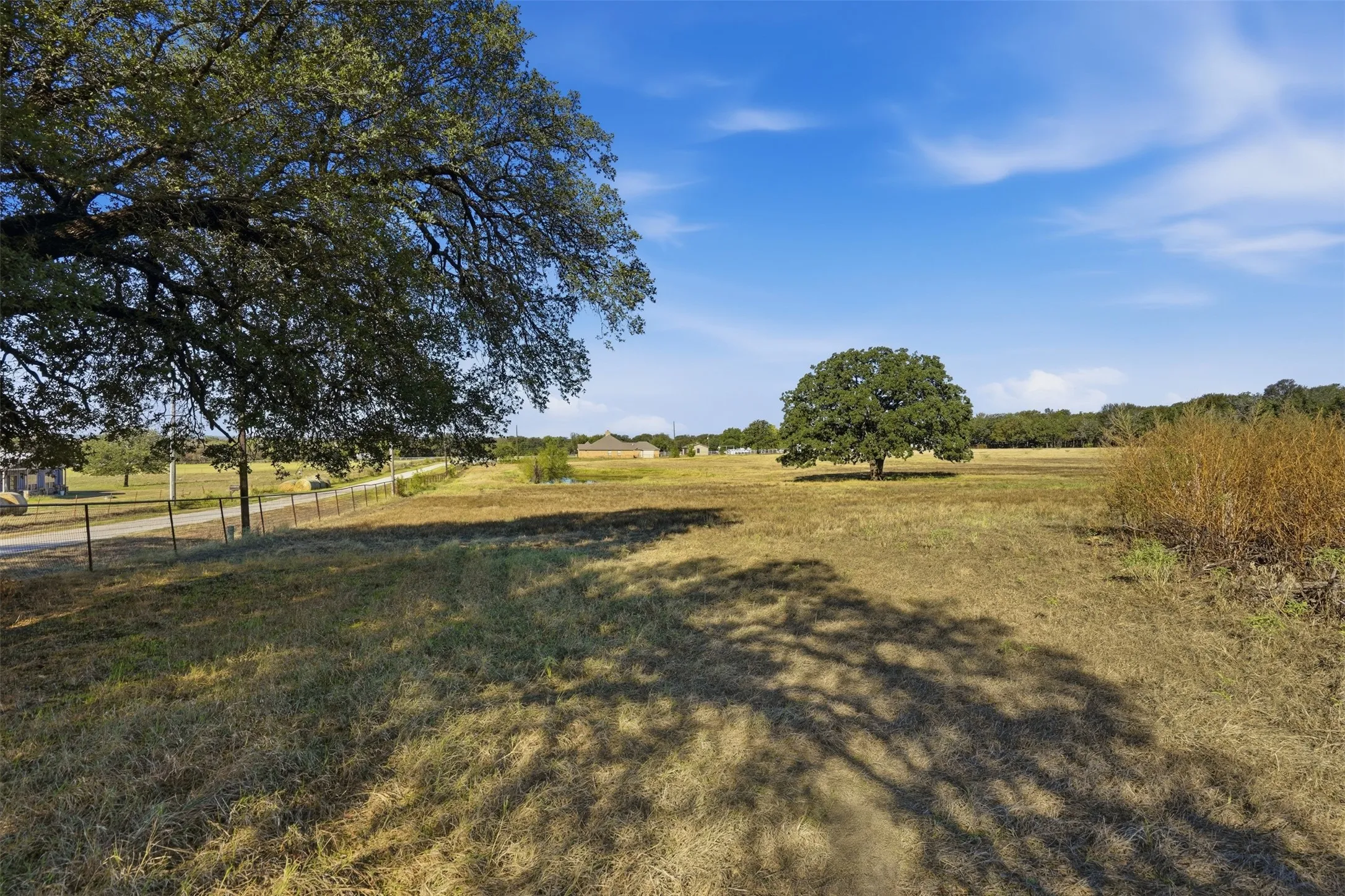 View of adjoining pasture.