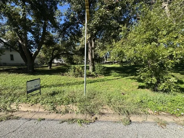 Unimproved Land For Sale in Grayson County , 1610 S Rusk Street, Sherman, Texas 75090, 0, 0, Garage spaces, 0 Sqft, built in 0, mls#21405347, Real Estate Agent in Sherman, Homes For Sale in Grayson county, Homes For Sale in Sherman, Realtor in Sherman Texas, Real Estate Brokerage Independent Realty Texas, Luminita Cordes Realtor