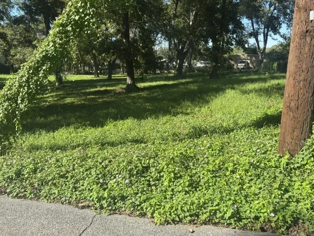 Unimproved Land For Sale in Grayson County , 1614 S Rusk Street, Sherman, Texas 75090, 0, 0, Garage spaces, 0 Sqft, built in 0, mls#21405360, Real Estate Agent in Sherman, Homes For Sale in Grayson county, Homes For Sale in Sherman, Realtor in Sherman Texas, Real Estate Brokerage Independent Realty Texas, Luminita Cordes Realtor