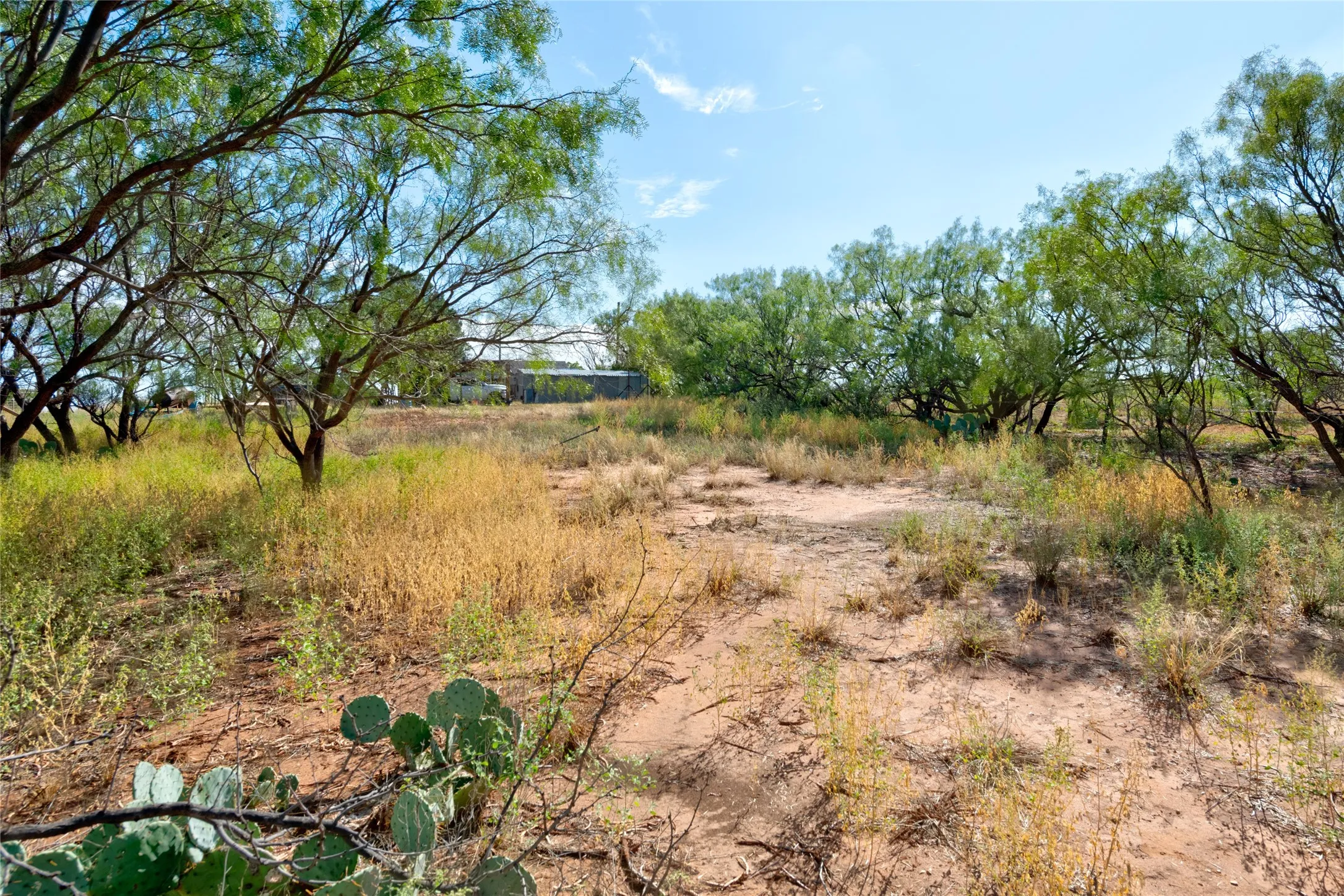 Single Family Residence For Sale in Taylor County , 1216 County Road 349, Merkel, Texas 79536, 2 Bedroom, 1 Bathroom, Garage spaces, 1,213 Sqft, built in 1944, mls#21394465, Real Estate Agent in Merkel, Homes For Sale in Taylor county, Homes For Sale in Merkel, Realtor in Merkel Texas, Real Estate Brokerage Independent Realty Texas, Luminita Cordes Realtor
