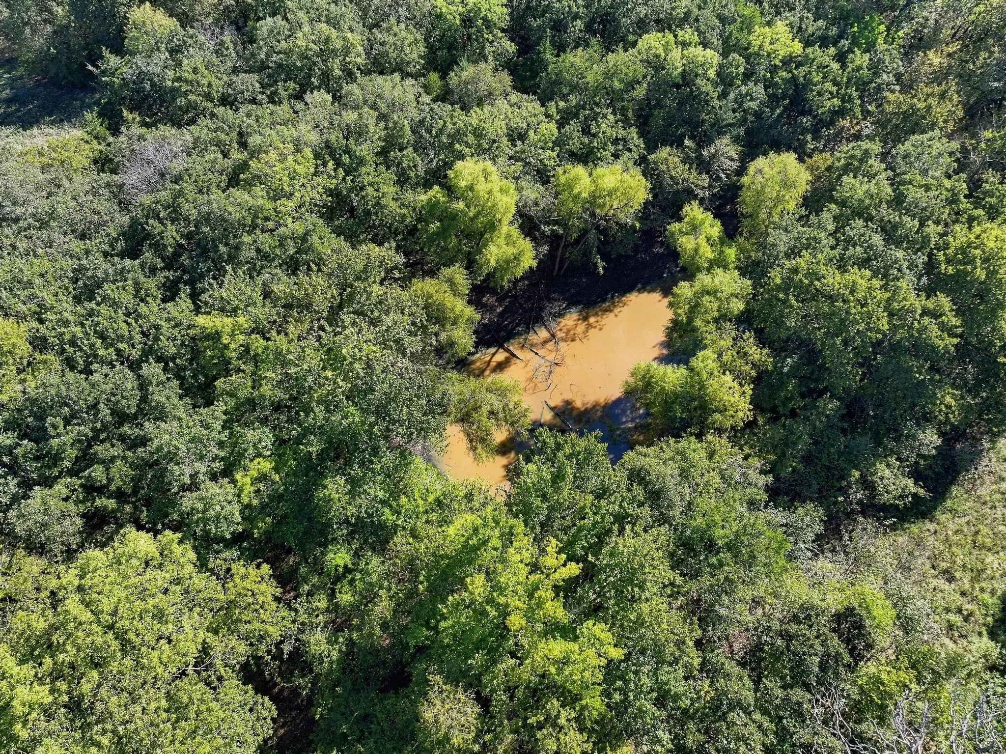 Unimproved Land For Sale in Grayson County , TBD FM 1753, Denison, Texas 75021, 0, 0, Garage spaces, 0 Sqft, built in 0, mls#21404887, Real Estate Agent in Denison, Homes For Sale in Grayson county, Homes For Sale in Denison, Realtor in Denison Texas, Real Estate Brokerage Independent Realty Texas, Luminita Cordes Realtor