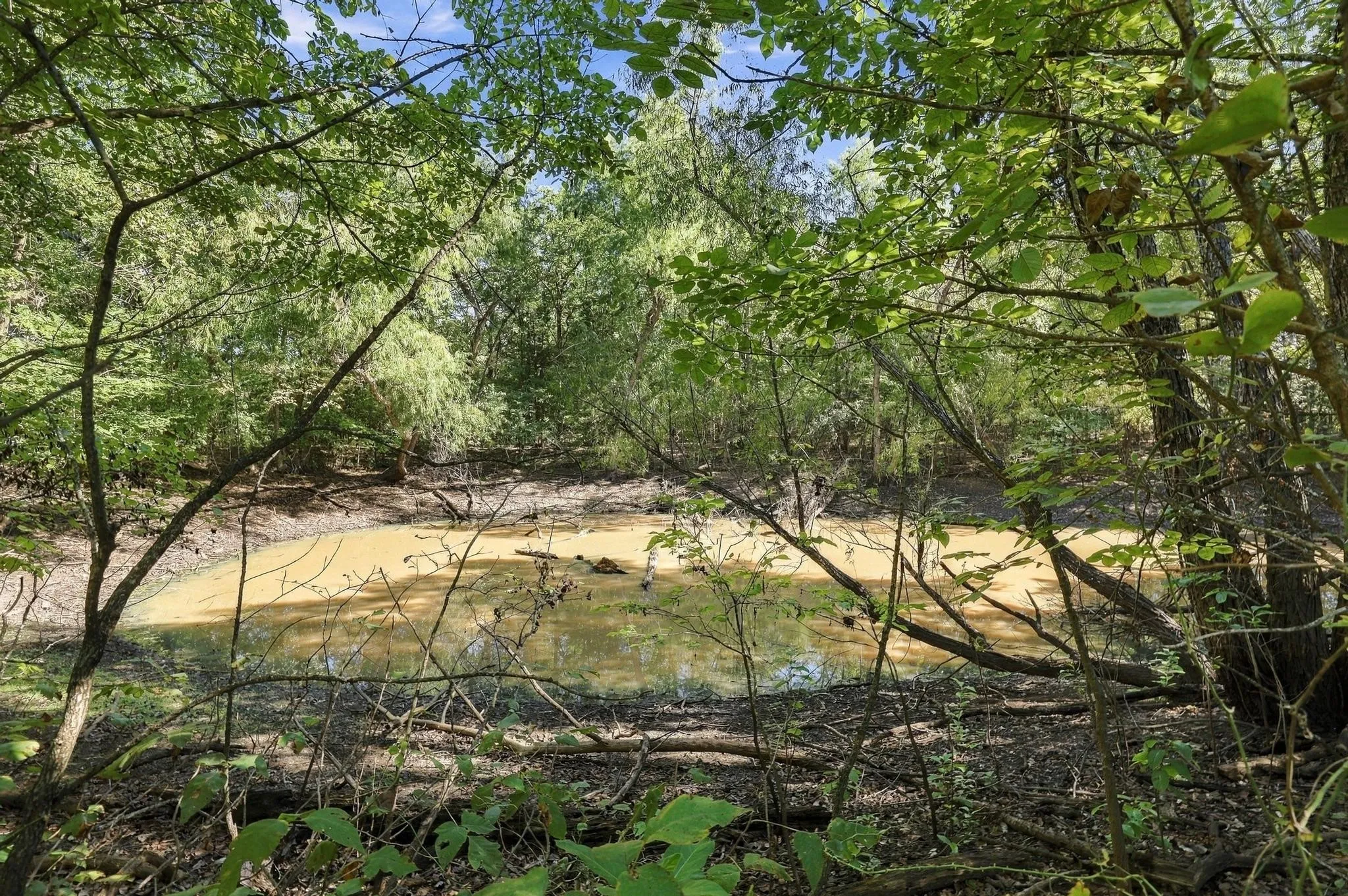 Unimproved Land For Sale in Grayson County , TBD FM 1753, Denison, Texas 75021, 0, 0, Garage spaces, 0 Sqft, built in 0, mls#21404887, Real Estate Agent in Denison, Homes For Sale in Grayson county, Homes For Sale in Denison, Realtor in Denison Texas, Real Estate Brokerage Independent Realty Texas, Luminita Cordes Realtor