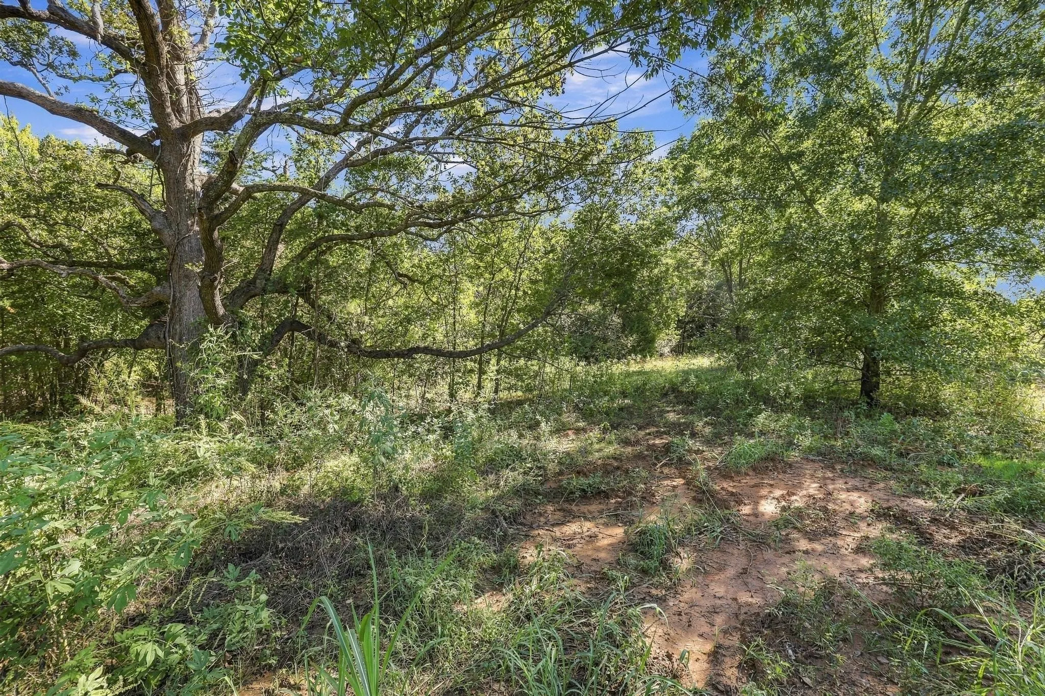Unimproved Land For Sale in Grayson County , TBD FM 1753, Denison, Texas 75021, 0, 0, Garage spaces, 0 Sqft, built in 0, mls#21404887, Real Estate Agent in Denison, Homes For Sale in Grayson county, Homes For Sale in Denison, Realtor in Denison Texas, Real Estate Brokerage Independent Realty Texas, Luminita Cordes Realtor