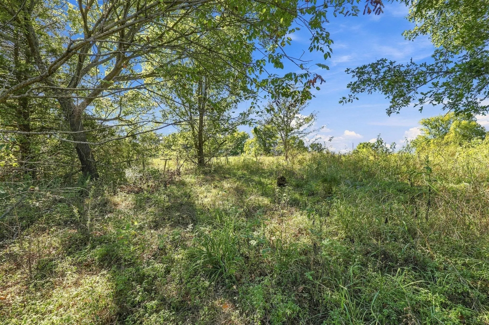 Unimproved Land For Sale in Grayson County , TBD FM 1753, Denison, Texas 75021, 0, 0, Garage spaces, 0 Sqft, built in 0, mls#21404887, Real Estate Agent in Denison, Homes For Sale in Grayson county, Homes For Sale in Denison, Realtor in Denison Texas, Real Estate Brokerage Independent Realty Texas, Luminita Cordes Realtor