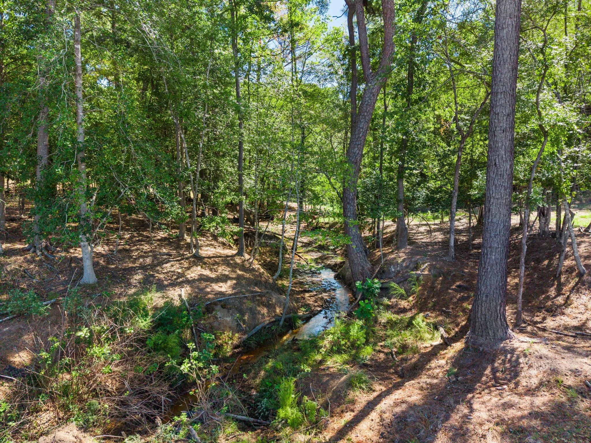 Single Family Residence For Sale in Smith County , 13127 S County Road 246, Arp, Texas 75750, 3 Bedroom, 3 Bathroom, 4 Garage spaces, 2,487 Sqft, built in 2023, mls#21404207, Real Estate Agent in Arp, Homes For Sale in Smith county, Homes For Sale in Arp, Realtor in Arp Texas, Real Estate Brokerage Independent Realty Texas, Luminita Cordes Realtor