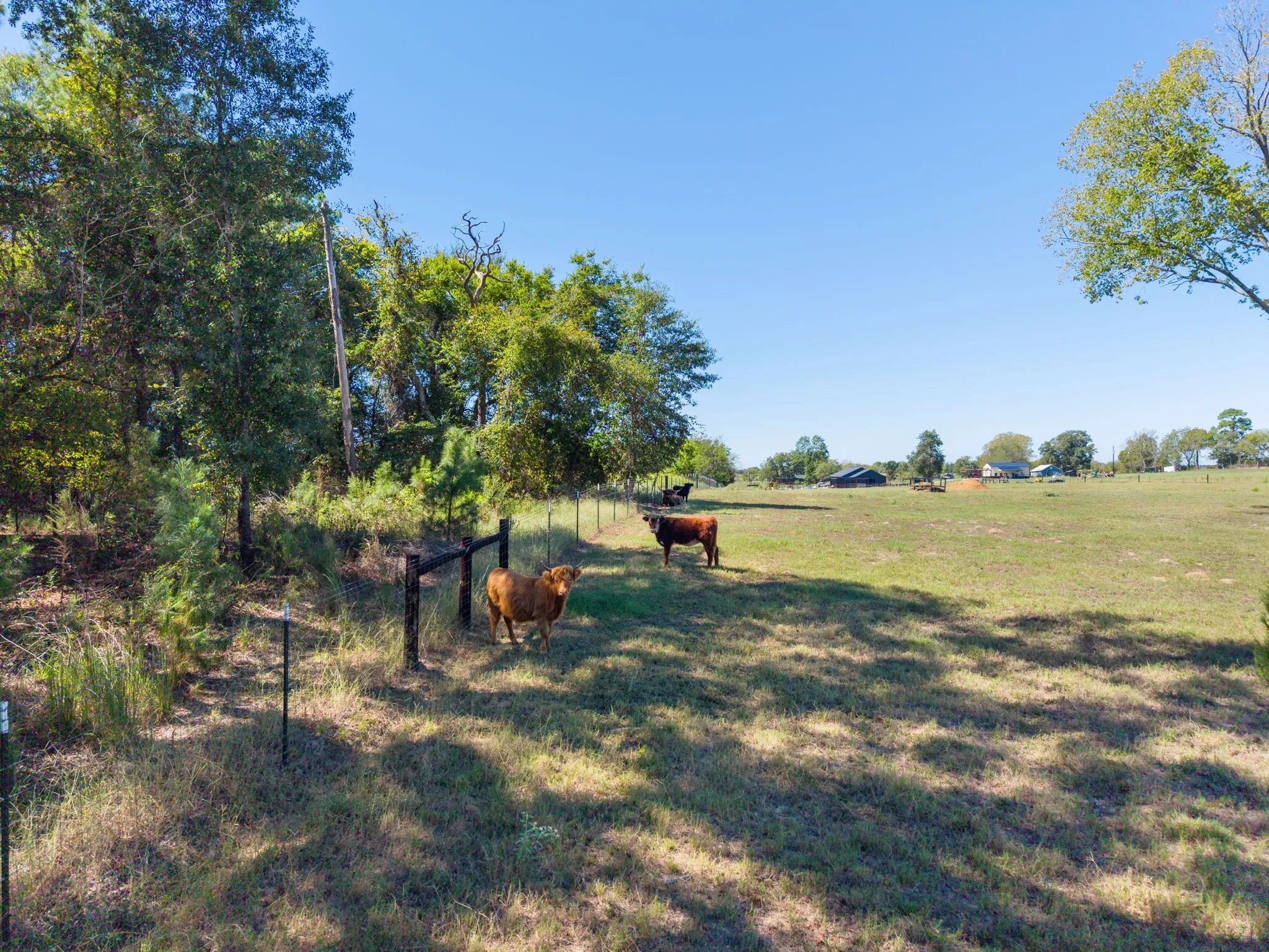 Single Family Residence For Sale in Smith County , 13127 S County Road 246, Arp, Texas 75750, 3 Bedroom, 3 Bathroom, 4 Garage spaces, 2,487 Sqft, built in 2023, mls#21404207, Real Estate Agent in Arp, Homes For Sale in Smith county, Homes For Sale in Arp, Realtor in Arp Texas, Real Estate Brokerage Independent Realty Texas, Luminita Cordes Realtor