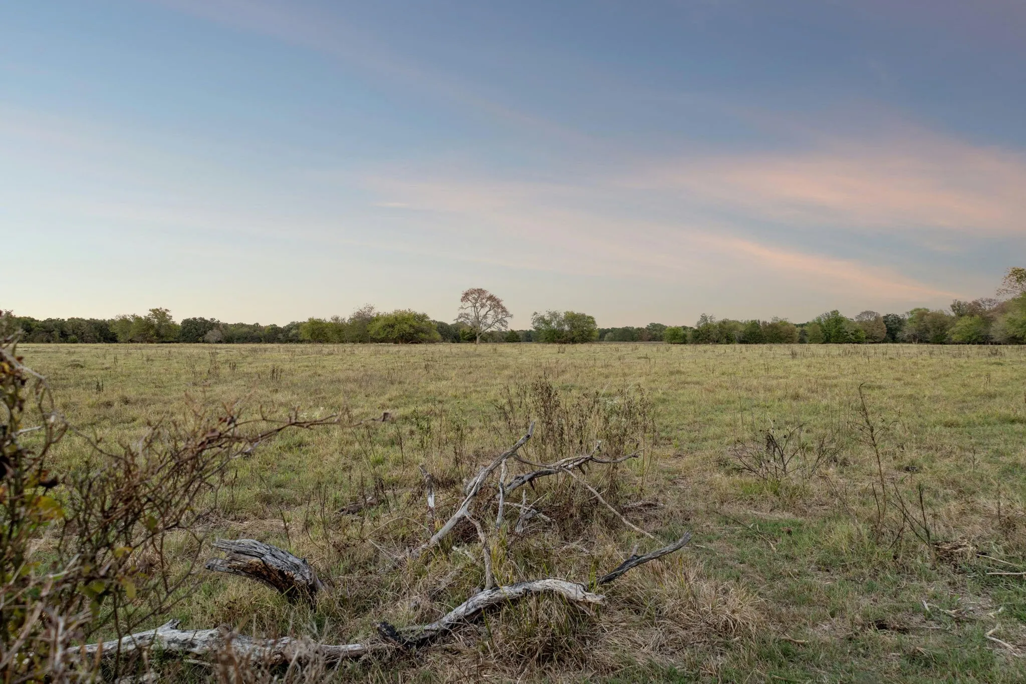 Improved Land For Sale in Rains County , TBD RS County Road 4310, Point, Texas 75472, 0, 0, Garage spaces, 0 Sqft, built in 0, mls#21405478, Real Estate Agent in Point, Homes For Sale in Rains county, Homes For Sale in Point, Realtor in Point Texas, Real Estate Brokerage Independent Realty Texas, Luminita Cordes Realtor