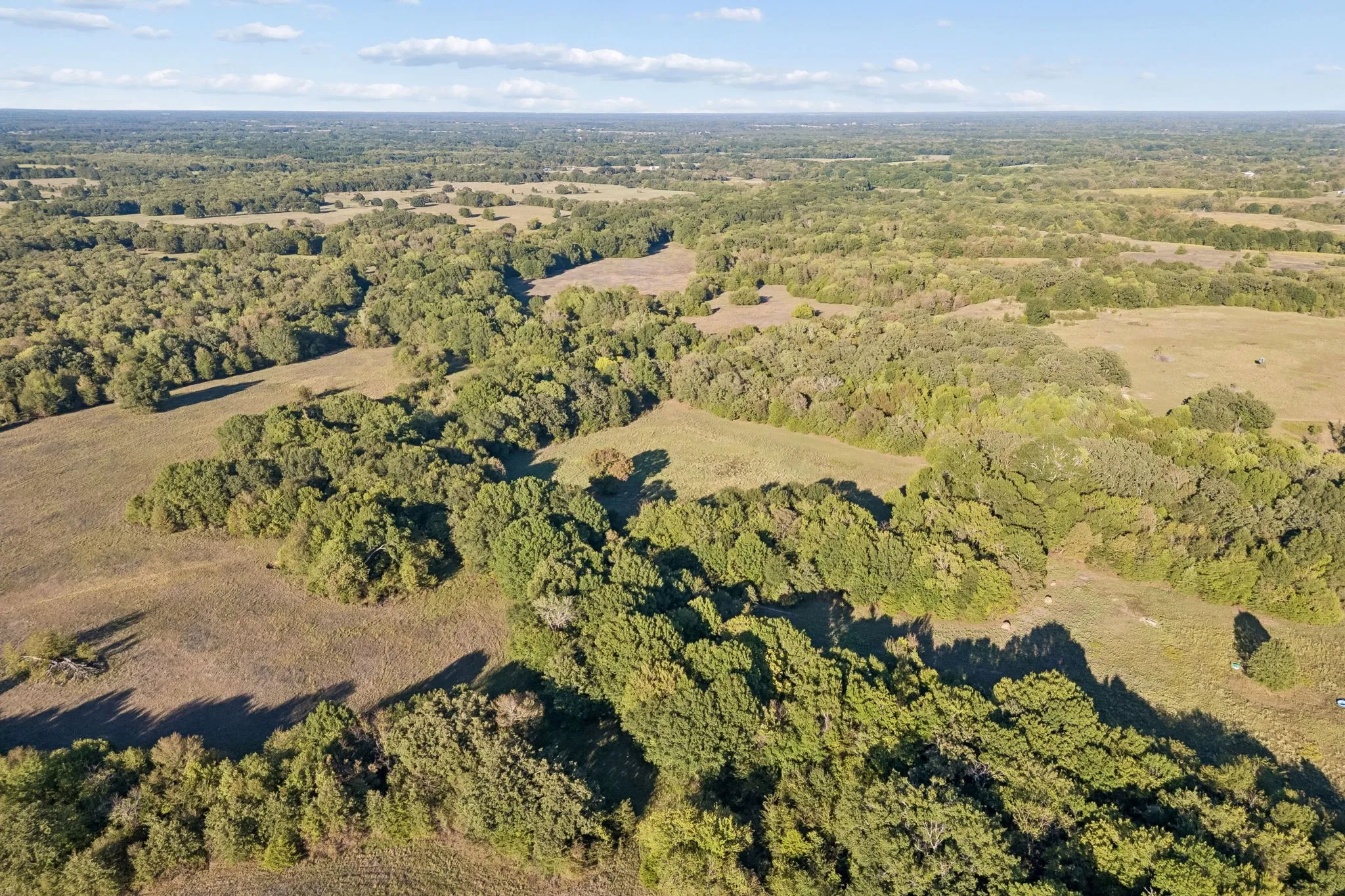 Improved Land For Sale in Rains County , TBD RS County Road 4310, Point, Texas 75472, 0, 0, Garage spaces, 0 Sqft, built in 0, mls#21405478, Real Estate Agent in Point, Homes For Sale in Rains county, Homes For Sale in Point, Realtor in Point Texas, Real Estate Brokerage Independent Realty Texas, Luminita Cordes Realtor