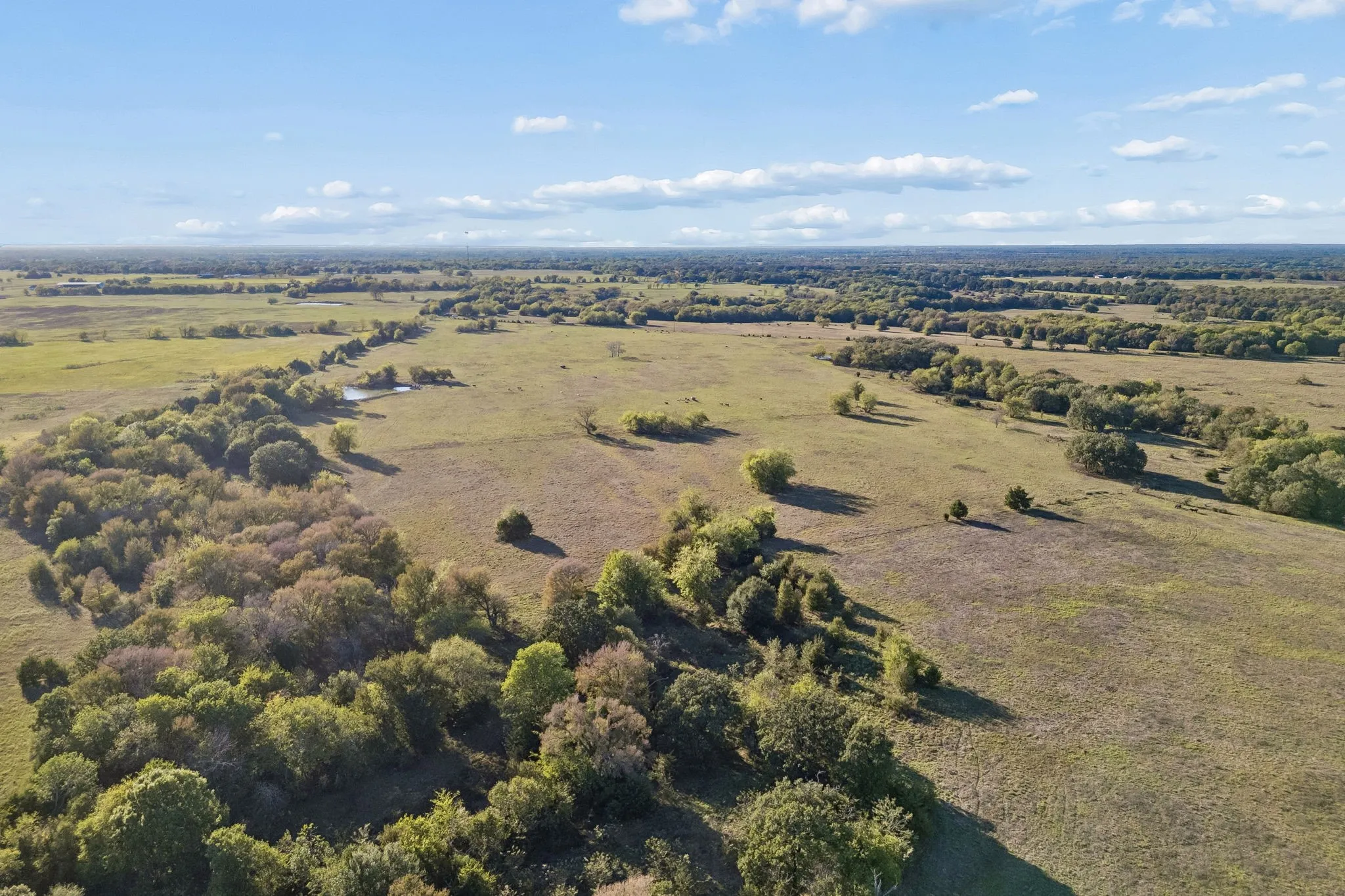 Improved Land For Sale in Rains County , TBD RS County Road 4310, Point, Texas 75472, 0, 0, Garage spaces, 0 Sqft, built in 0, mls#21405478, Real Estate Agent in Point, Homes For Sale in Rains county, Homes For Sale in Point, Realtor in Point Texas, Real Estate Brokerage Independent Realty Texas, Luminita Cordes Realtor