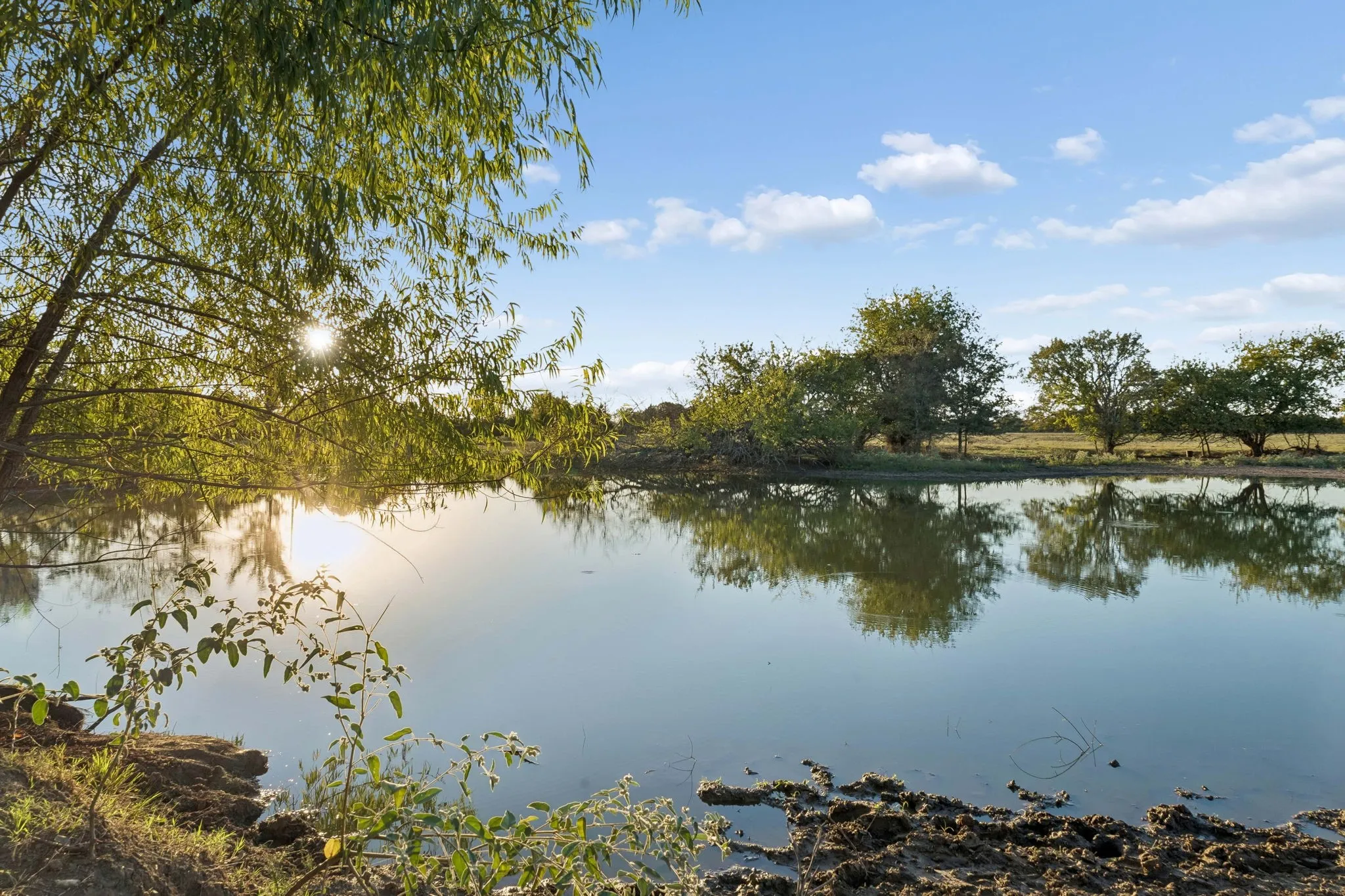 Improved Land For Sale in Rains County , TBD RS County Road 4310, Point, Texas 75472, 0, 0, Garage spaces, 0 Sqft, built in 0, mls#21405478, Real Estate Agent in Point, Homes For Sale in Rains county, Homes For Sale in Point, Realtor in Point Texas, Real Estate Brokerage Independent Realty Texas, Luminita Cordes Realtor