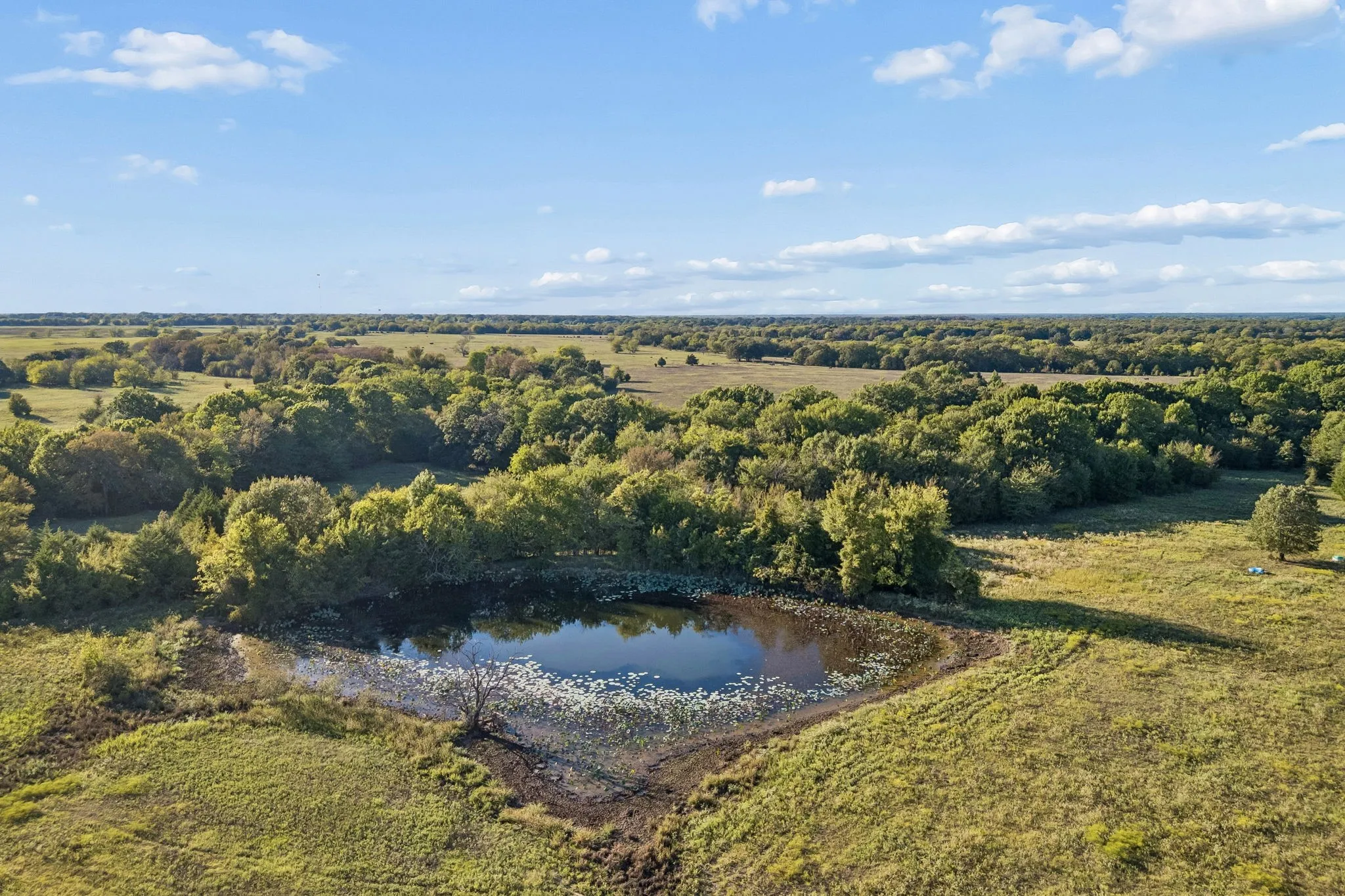 Improved Land For Sale in Rains County , TBD RS County Road 4310, Point, Texas 75472, 0, 0, Garage spaces, 0 Sqft, built in 0, mls#21405478, Real Estate Agent in Point, Homes For Sale in Rains county, Homes For Sale in Point, Realtor in Point Texas, Real Estate Brokerage Independent Realty Texas, Luminita Cordes Realtor