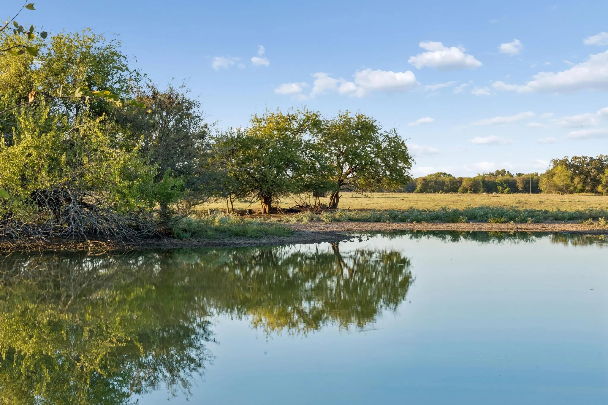 Improved Land For Sale in Rains County , TBD RS County Road 4310, Point, Texas 75472, 0, 0, Garage spaces, 0 Sqft, built in 0, mls#21405478, Real Estate Agent in Point, Homes For Sale in Rains county, Homes For Sale in Point, Realtor in Point Texas, Real Estate Brokerage Independent Realty Texas, Luminita Cordes Realtor