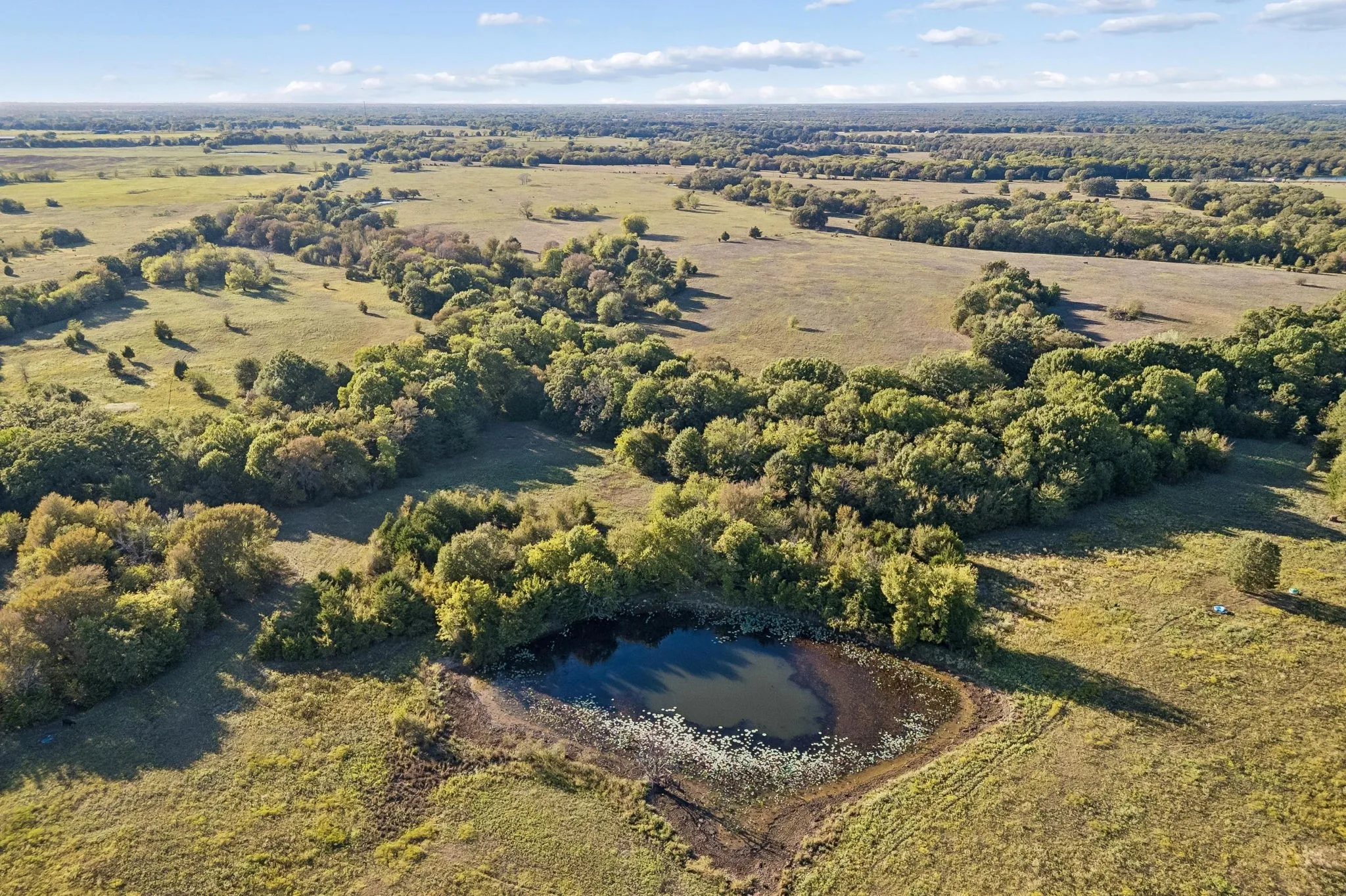 Improved Land For Sale in Rains County , TBD RS County Road 4310, Point, Texas 75472, 0, 0, Garage spaces, 0 Sqft, built in 0, mls#21405478, Real Estate Agent in Point, Homes For Sale in Rains county, Homes For Sale in Point, Realtor in Point Texas, Real Estate Brokerage Independent Realty Texas, Luminita Cordes Realtor