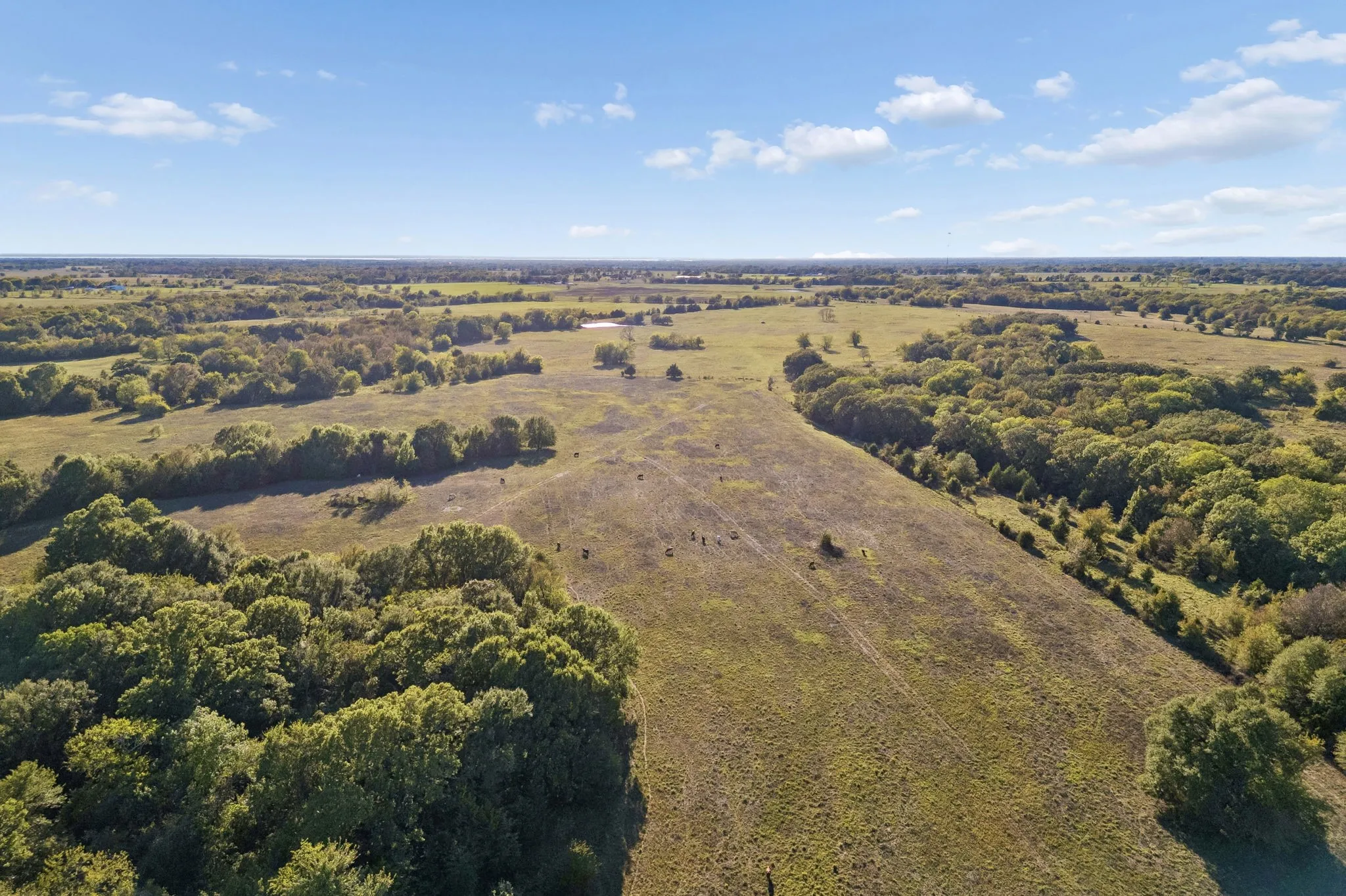 Improved Land For Sale in Rains County , TBD RS County Road 4310, Point, Texas 75472, 0, 0, Garage spaces, 0 Sqft, built in 0, mls#21405478, Real Estate Agent in Point, Homes For Sale in Rains county, Homes For Sale in Point, Realtor in Point Texas, Real Estate Brokerage Independent Realty Texas, Luminita Cordes Realtor