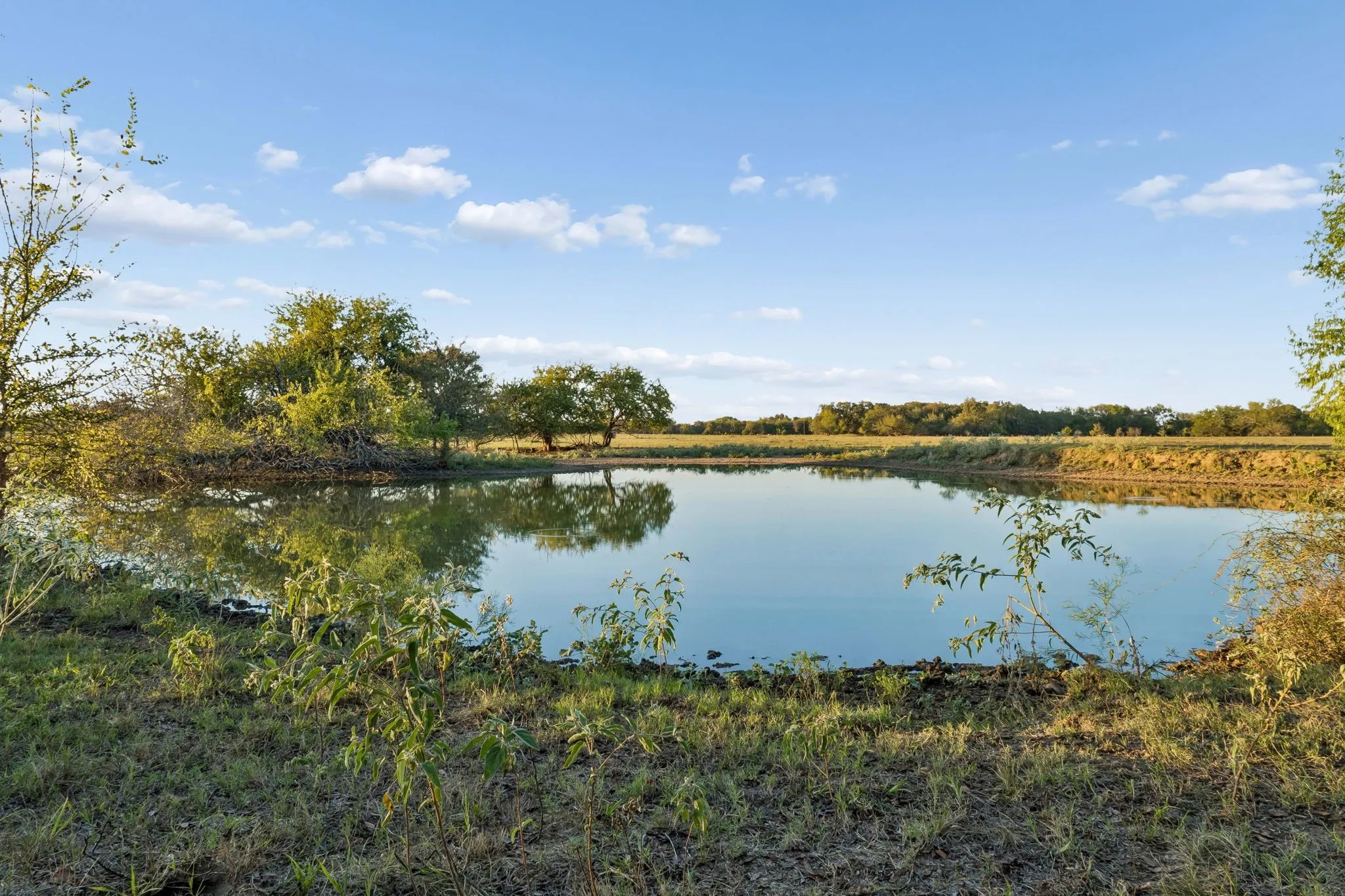 Improved Land For Sale in Rains County , TBD RS County Road 4310, Point, Texas 75472, 0, 0, Garage spaces, 0 Sqft, built in 0, mls#21405478, Real Estate Agent in Point, Homes For Sale in Rains county, Homes For Sale in Point, Realtor in Point Texas, Real Estate Brokerage Independent Realty Texas, Luminita Cordes Realtor