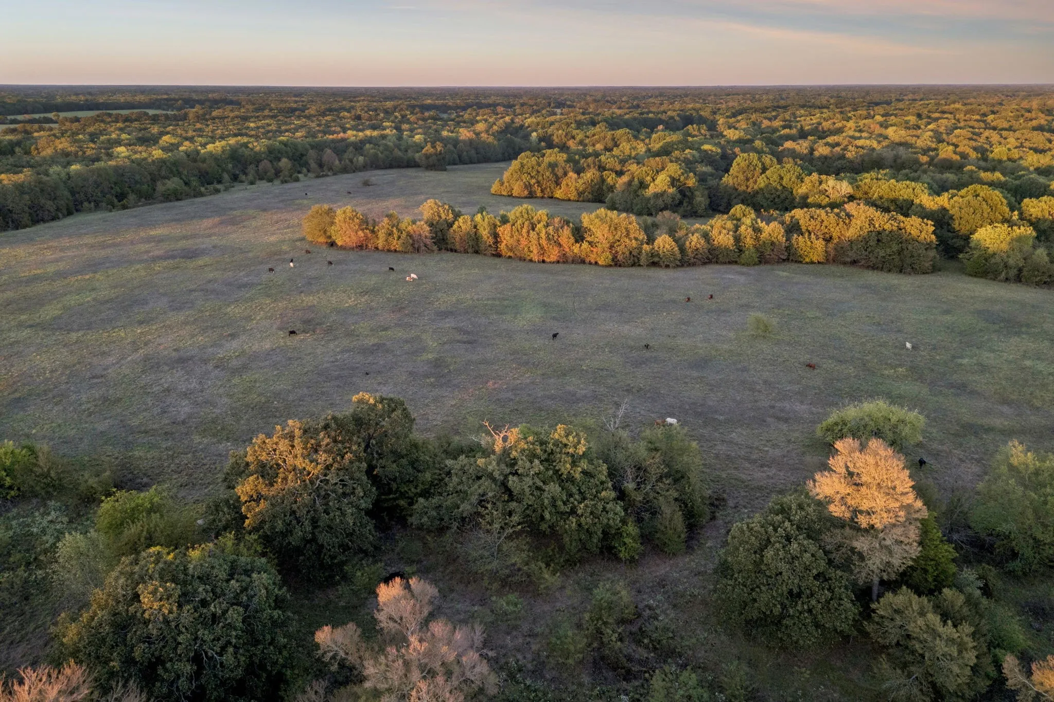 Improved Land For Sale in Rains County , TBD RS County Road 4310, Point, Texas 75472, 0, 0, Garage spaces, 0 Sqft, built in 0, mls#21405478, Real Estate Agent in Point, Homes For Sale in Rains county, Homes For Sale in Point, Realtor in Point Texas, Real Estate Brokerage Independent Realty Texas, Luminita Cordes Realtor