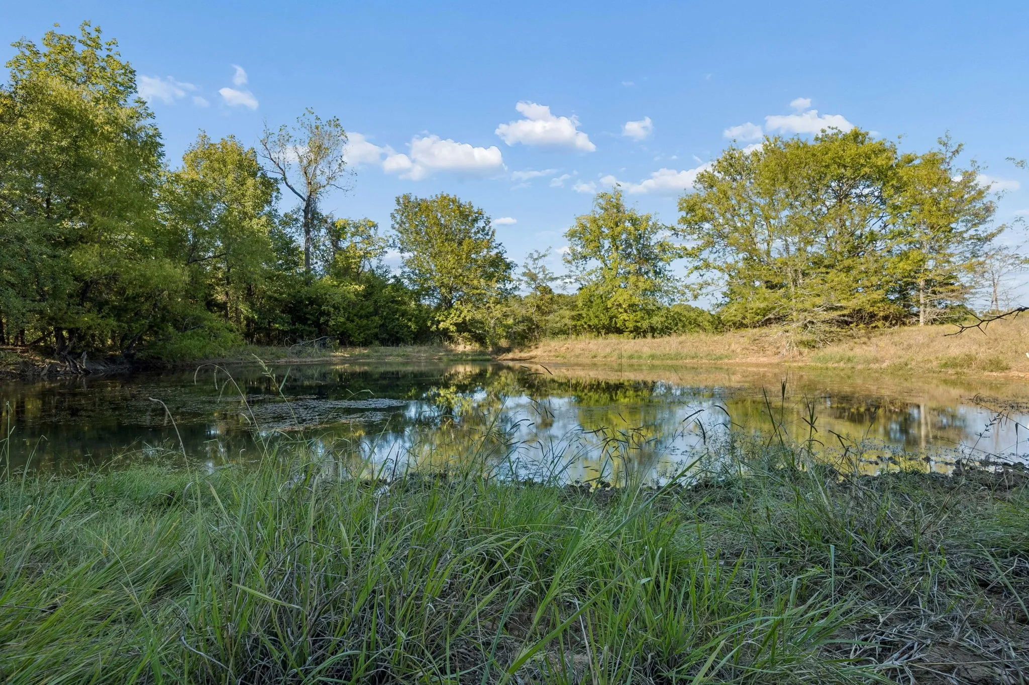 Improved Land For Sale in Rains County , TBD RS County Road 4310, Point, Texas 75472, 0, 0, Garage spaces, 0 Sqft, built in 0, mls#21405478, Real Estate Agent in Point, Homes For Sale in Rains county, Homes For Sale in Point, Realtor in Point Texas, Real Estate Brokerage Independent Realty Texas, Luminita Cordes Realtor