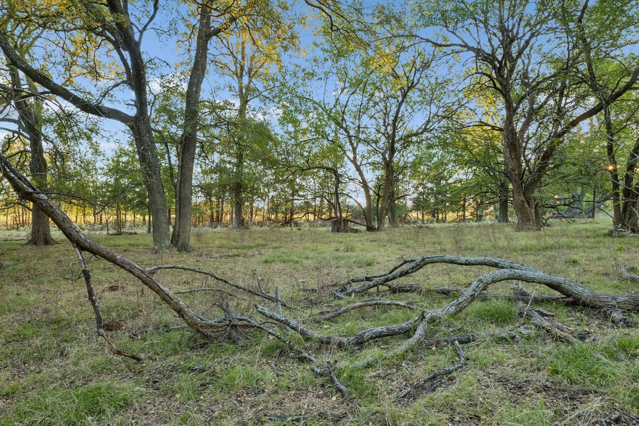 Improved Land For Sale in Rains County , TBD RS County Road 4310, Point, Texas 75472, 0, 0, Garage spaces, 0 Sqft, built in 0, mls#21405478, Real Estate Agent in Point, Homes For Sale in Rains county, Homes For Sale in Point, Realtor in Point Texas, Real Estate Brokerage Independent Realty Texas, Luminita Cordes Realtor