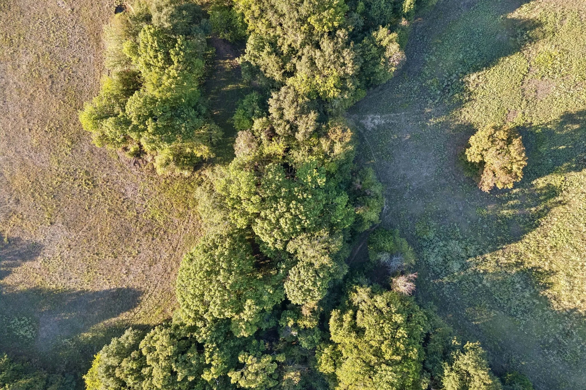Improved Land For Sale in Rains County , TBD RS County Road 4310, Point, Texas 75472, 0, 0, Garage spaces, 0 Sqft, built in 0, mls#21405478, Real Estate Agent in Point, Homes For Sale in Rains county, Homes For Sale in Point, Realtor in Point Texas, Real Estate Brokerage Independent Realty Texas, Luminita Cordes Realtor