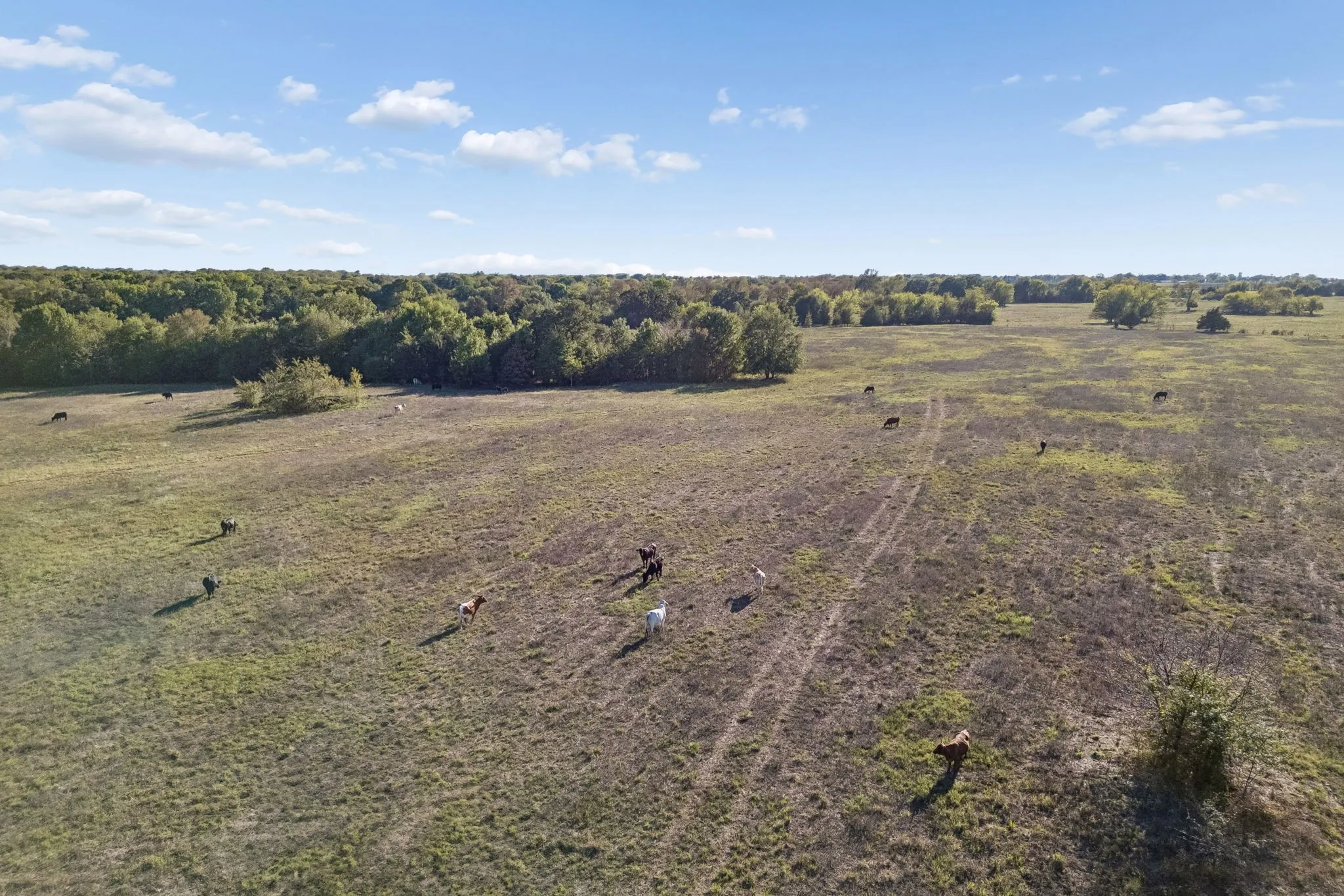 Improved Land For Sale in Rains County , TBD RS County Road 4310, Point, Texas 75472, 0, 0, Garage spaces, 0 Sqft, built in 0, mls#21405478, Real Estate Agent in Point, Homes For Sale in Rains county, Homes For Sale in Point, Realtor in Point Texas, Real Estate Brokerage Independent Realty Texas, Luminita Cordes Realtor