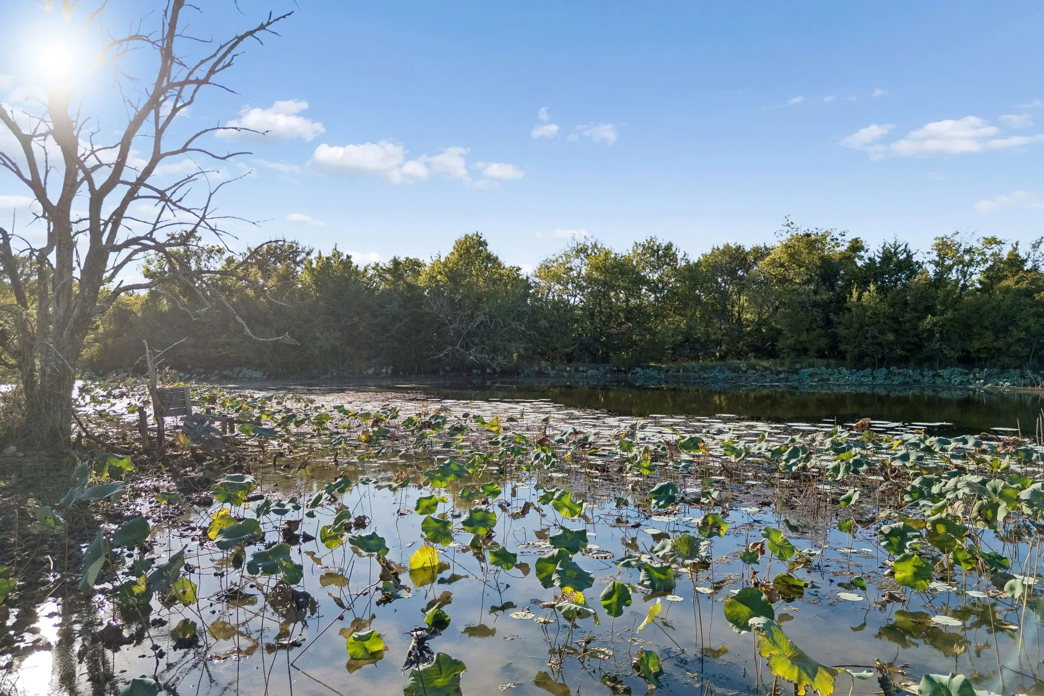 Improved Land For Sale in Rains County , TBD RS County Road 4310, Point, Texas 75472, 0, 0, Garage spaces, 0 Sqft, built in 0, mls#21405478, Real Estate Agent in Point, Homes For Sale in Rains county, Homes For Sale in Point, Realtor in Point Texas, Real Estate Brokerage Independent Realty Texas, Luminita Cordes Realtor