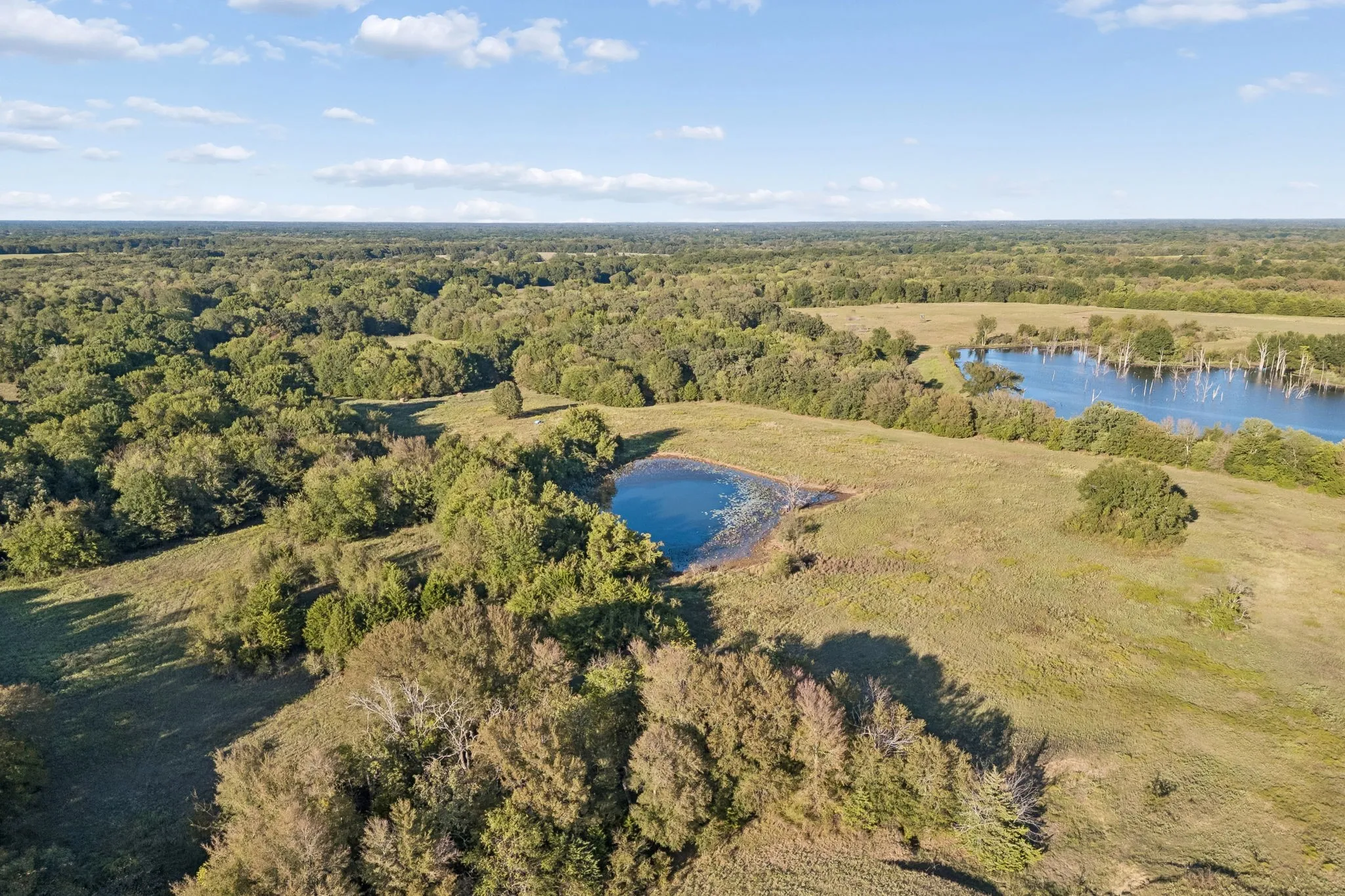 Improved Land For Sale in Rains County , TBD RS County Road 4310, Point, Texas 75472, 0, 0, Garage spaces, 0 Sqft, built in 0, mls#21405478, Real Estate Agent in Point, Homes For Sale in Rains county, Homes For Sale in Point, Realtor in Point Texas, Real Estate Brokerage Independent Realty Texas, Luminita Cordes Realtor