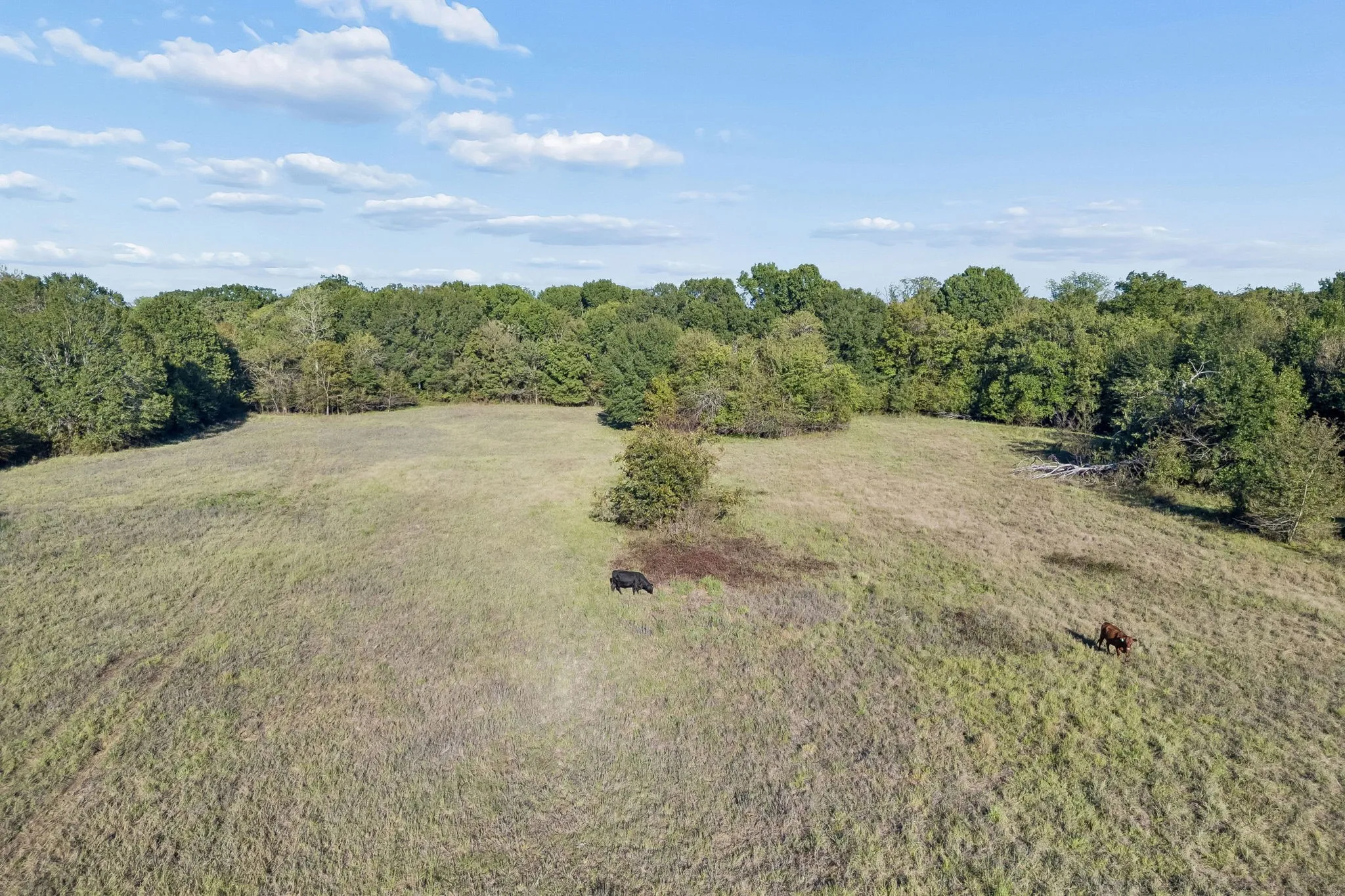 Improved Land For Sale in Rains County , TBD RS County Road 4310, Point, Texas 75472, 0, 0, Garage spaces, 0 Sqft, built in 0, mls#21405478, Real Estate Agent in Point, Homes For Sale in Rains county, Homes For Sale in Point, Realtor in Point Texas, Real Estate Brokerage Independent Realty Texas, Luminita Cordes Realtor