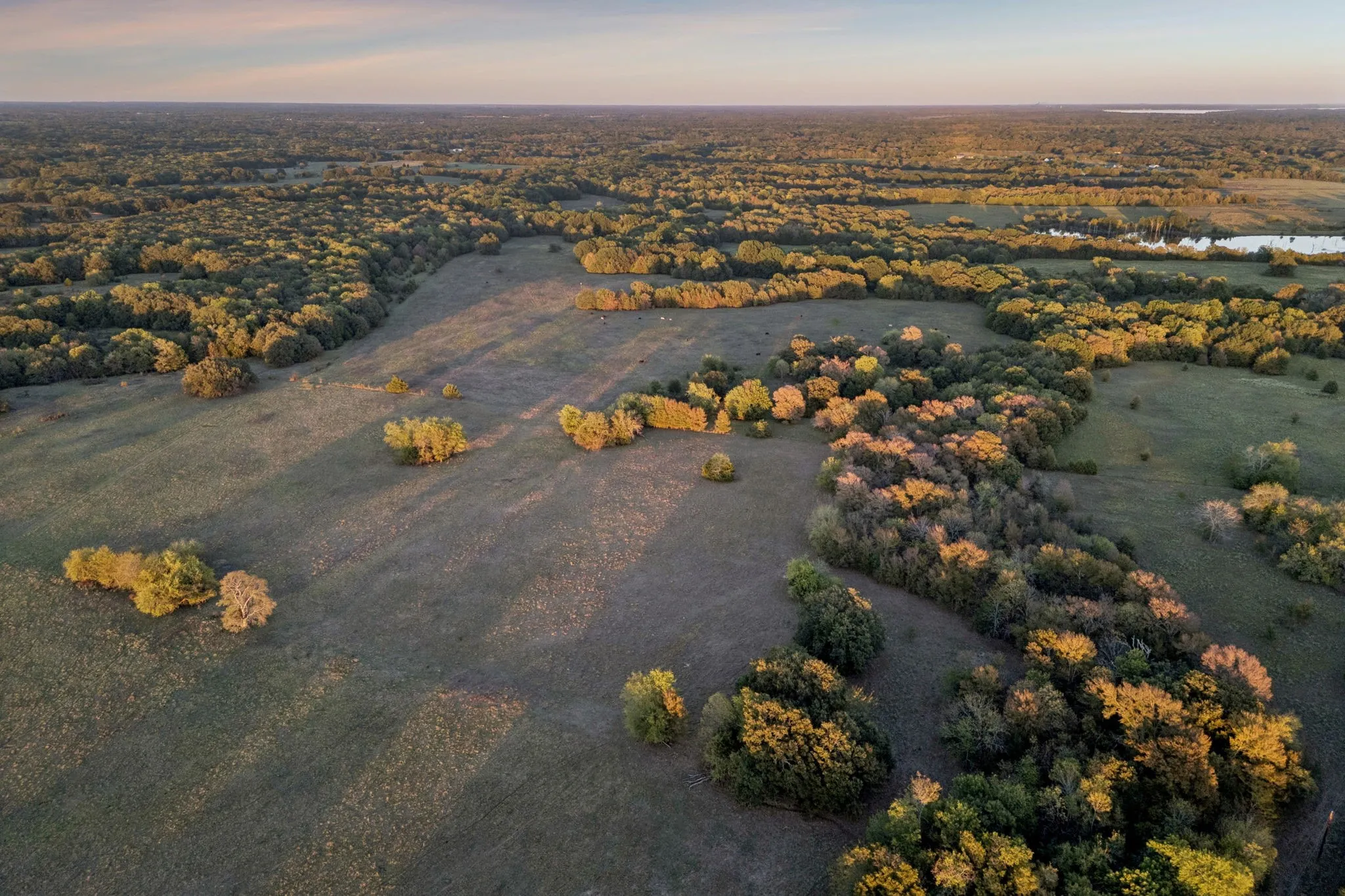 Improved Land For Sale in Rains County , TBD RS County Road 4310, Point, Texas 75472, 0, 0, Garage spaces, 0 Sqft, built in 0, mls#21405478, Real Estate Agent in Point, Homes For Sale in Rains county, Homes For Sale in Point, Realtor in Point Texas, Real Estate Brokerage Independent Realty Texas, Luminita Cordes Realtor