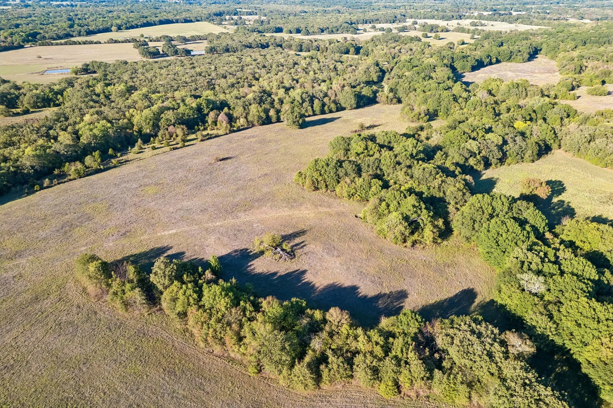Improved Land For Sale in Rains County , TBD RS County Road 4310, Point, Texas 75472, 0, 0, Garage spaces, 0 Sqft, built in 0, mls#21405478, Real Estate Agent in Point, Homes For Sale in Rains county, Homes For Sale in Point, Realtor in Point Texas, Real Estate Brokerage Independent Realty Texas, Luminita Cordes Realtor