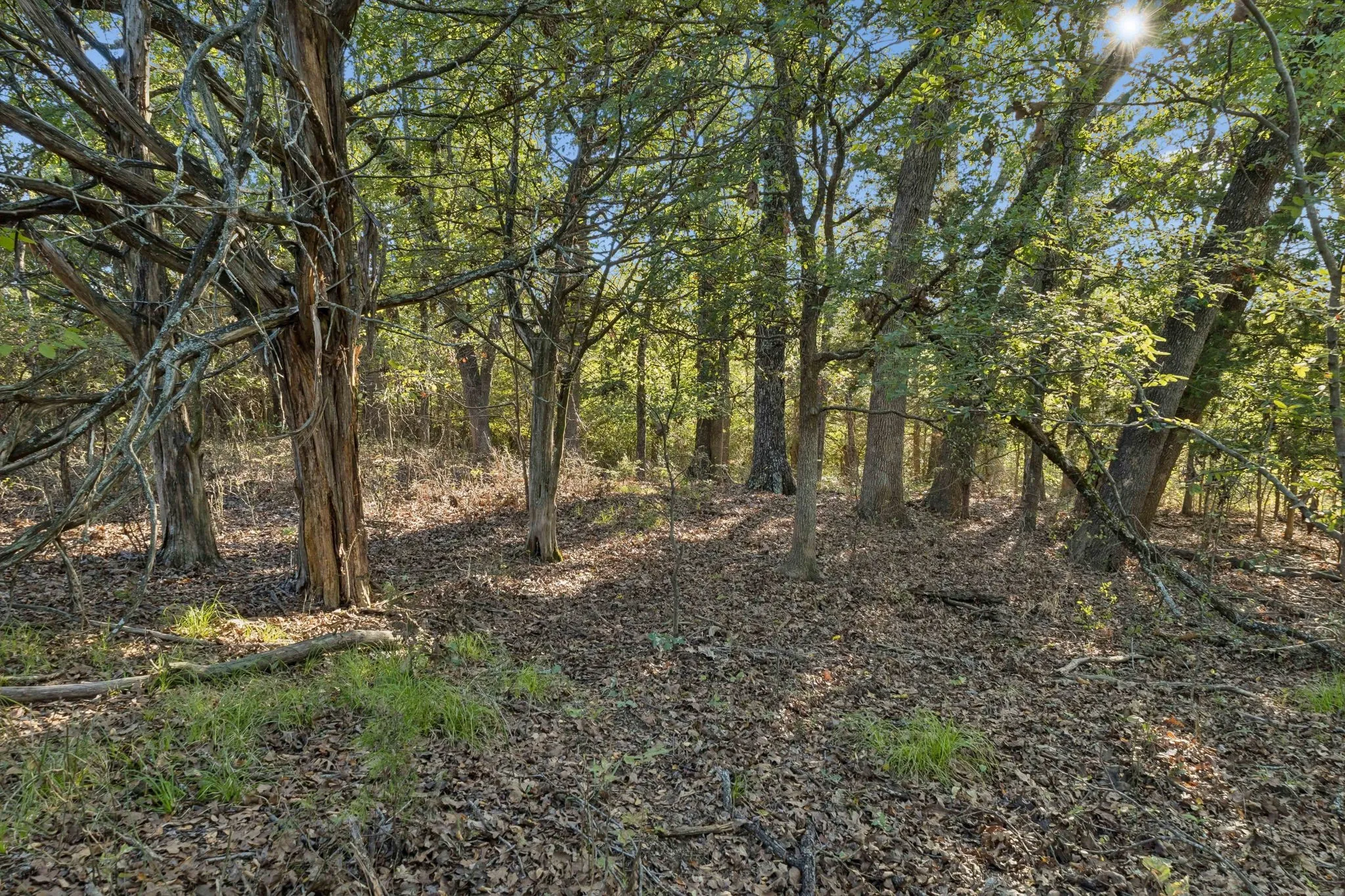 Improved Land For Sale in Rains County , TBD RS County Road 4310, Point, Texas 75472, 0, 0, Garage spaces, 0 Sqft, built in 0, mls#21405478, Real Estate Agent in Point, Homes For Sale in Rains county, Homes For Sale in Point, Realtor in Point Texas, Real Estate Brokerage Independent Realty Texas, Luminita Cordes Realtor