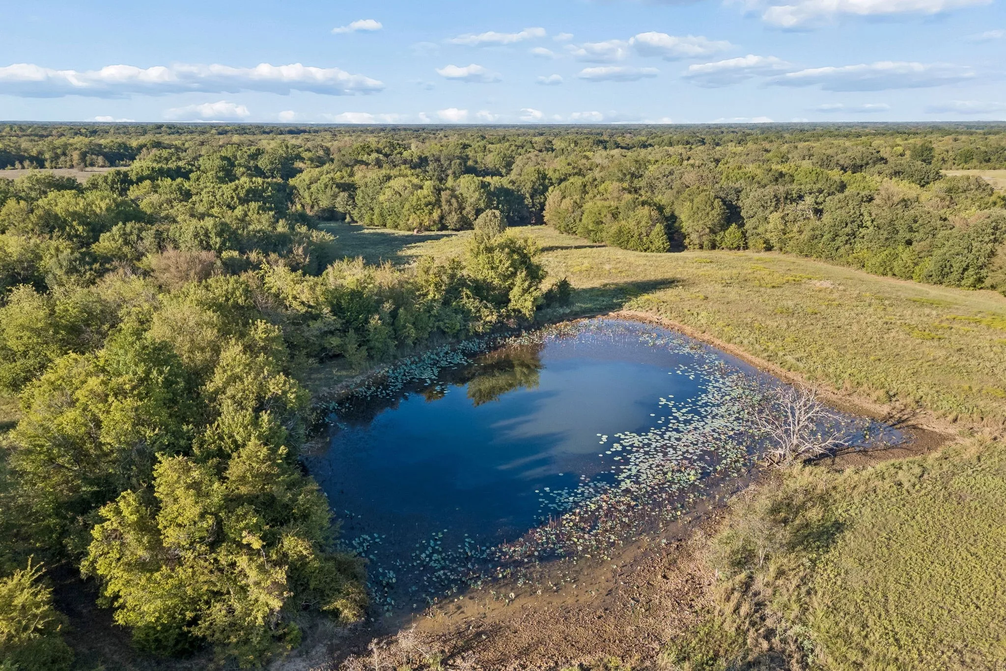 Improved Land For Sale in Rains County , TBD RS County Road 4310, Point, Texas 75472, 0, 0, Garage spaces, 0 Sqft, built in 0, mls#21405478, Real Estate Agent in Point, Homes For Sale in Rains county, Homes For Sale in Point, Realtor in Point Texas, Real Estate Brokerage Independent Realty Texas, Luminita Cordes Realtor