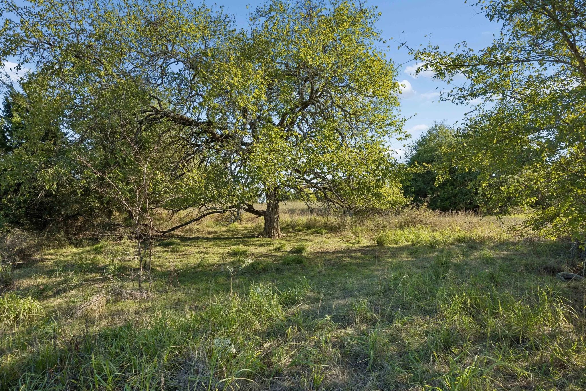 Improved Land For Sale in Rains County , TBD RS County Road 4310, Point, Texas 75472, 0, 0, Garage spaces, 0 Sqft, built in 0, mls#21405478, Real Estate Agent in Point, Homes For Sale in Rains county, Homes For Sale in Point, Realtor in Point Texas, Real Estate Brokerage Independent Realty Texas, Luminita Cordes Realtor