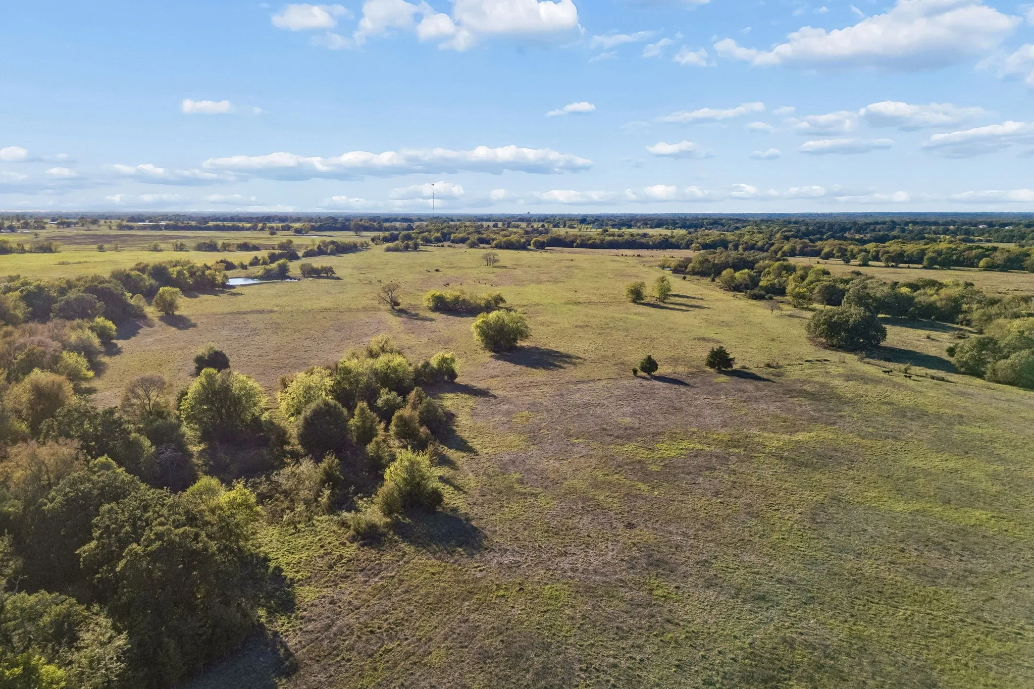 Improved Land For Sale in Rains County , TBD RS County Road 4310, Point, Texas 75472, 0, 0, Garage spaces, 0 Sqft, built in 0, mls#21405478, Real Estate Agent in Point, Homes For Sale in Rains county, Homes For Sale in Point, Realtor in Point Texas, Real Estate Brokerage Independent Realty Texas, Luminita Cordes Realtor